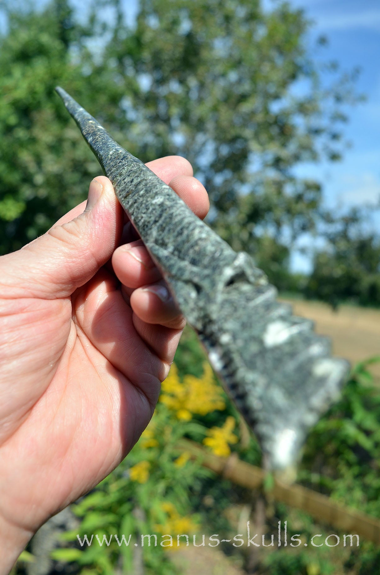 Preseli Bluestone Dragon Wand