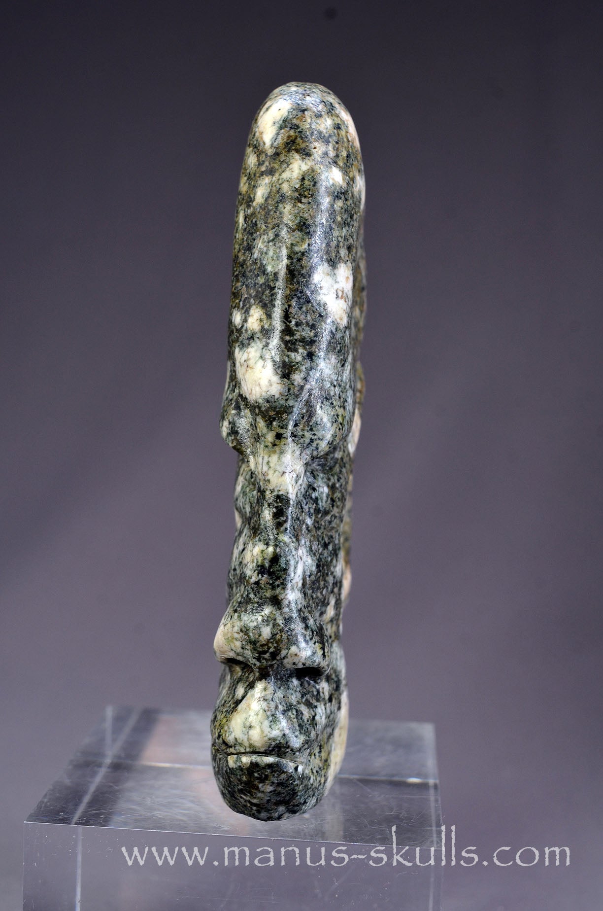 Preseli Bluestone Tribal Skull
