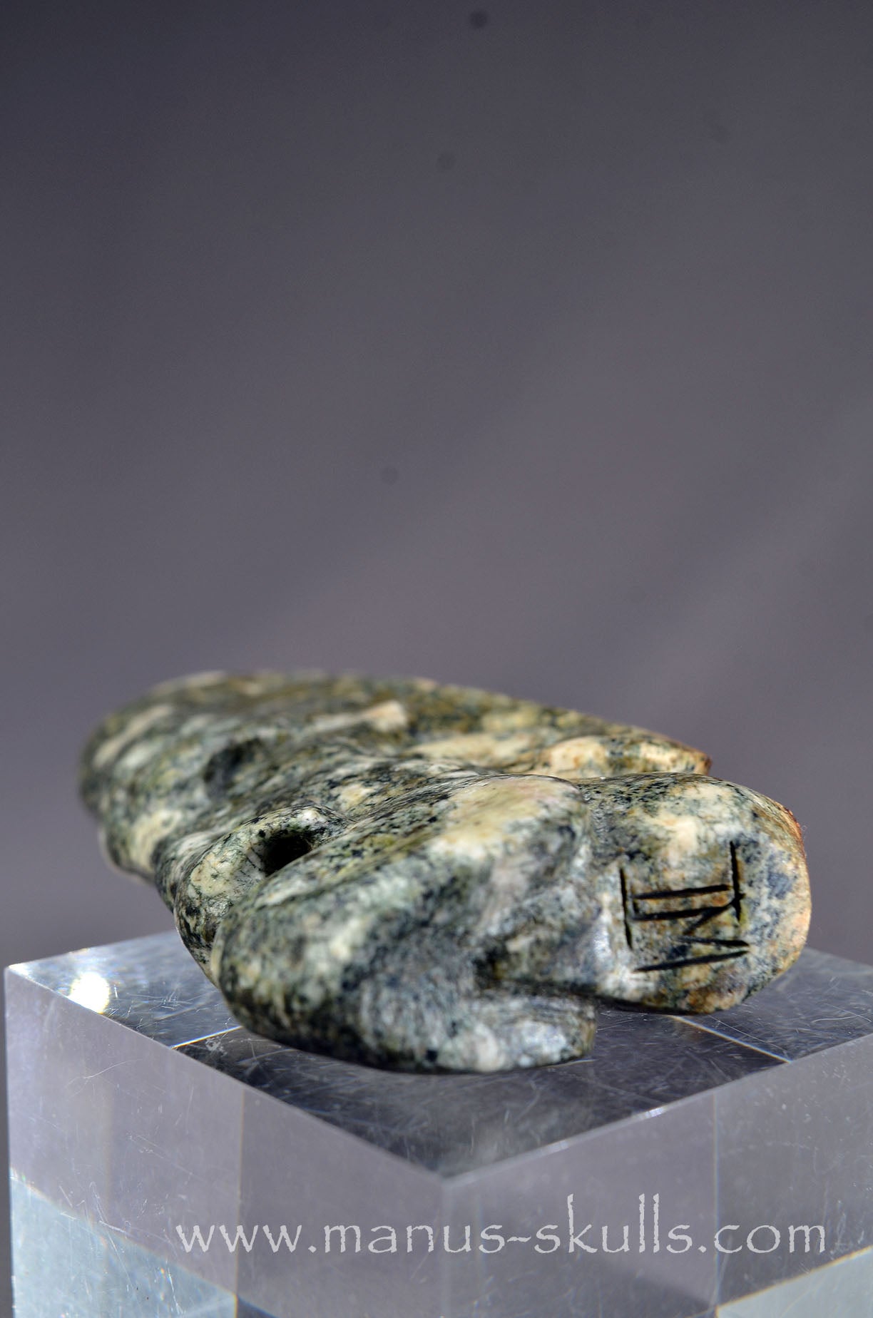 Preseli Bluestone Tribal Skull