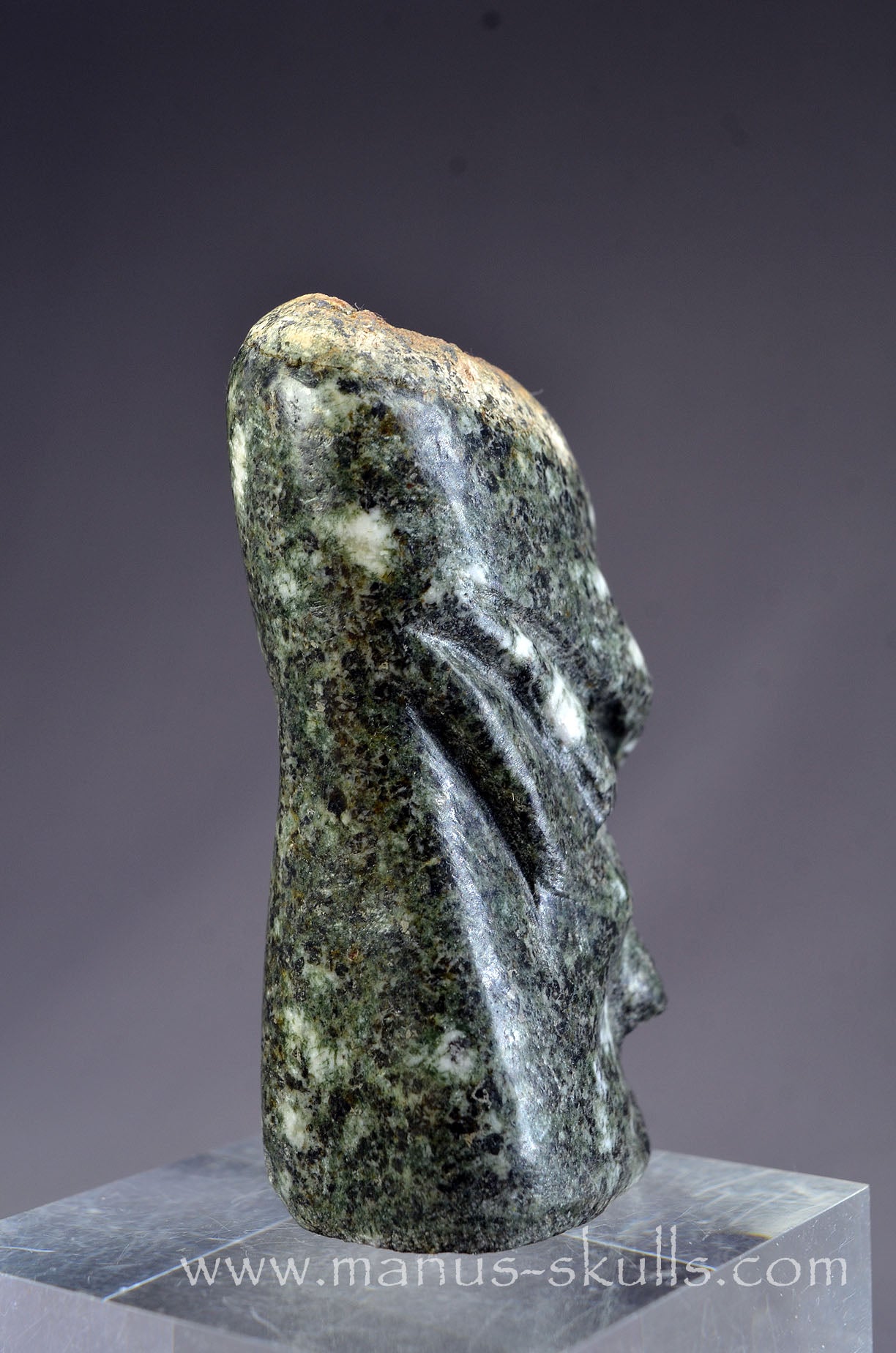 Preseli Bluestone Tribal Skull