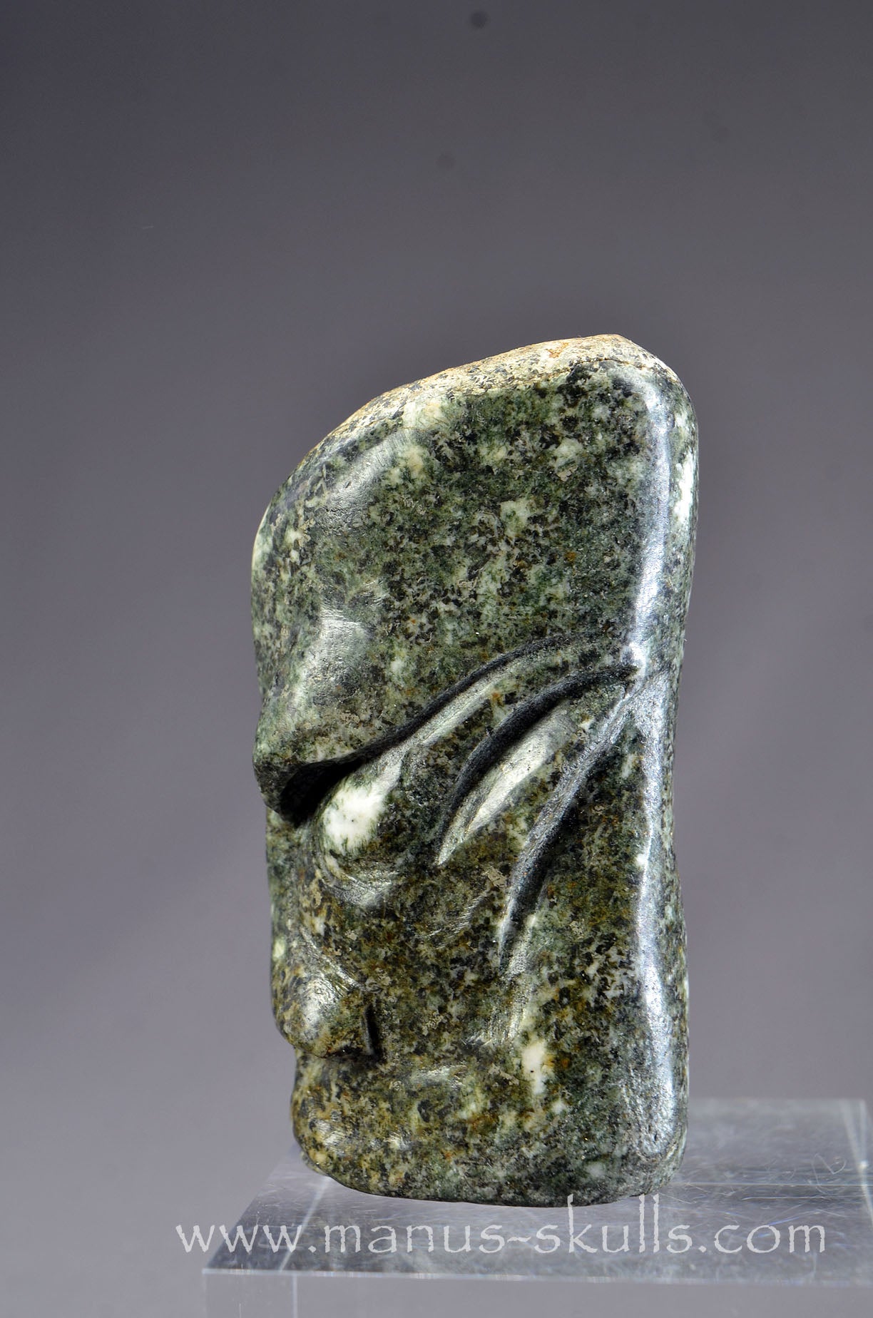 Preseli Bluestone Tribal Skull