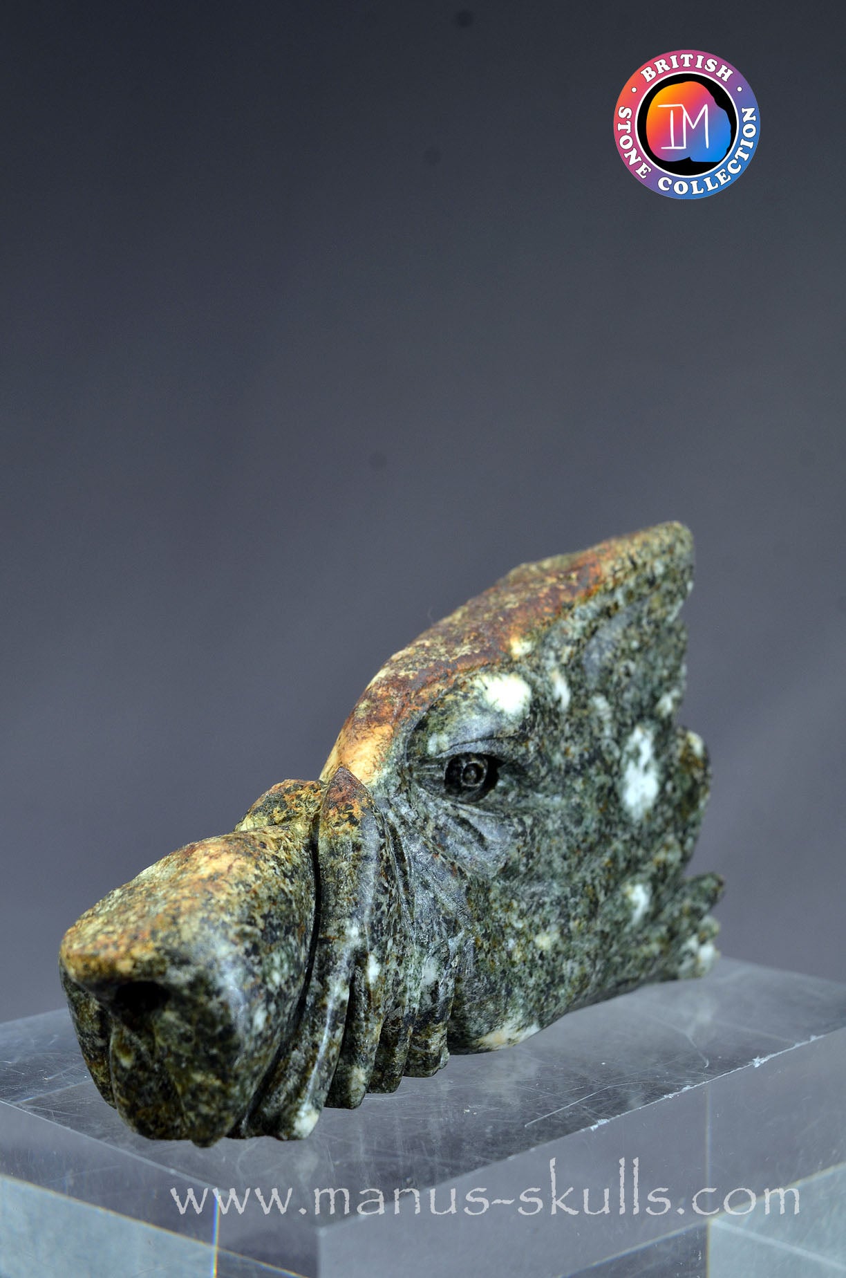 Preseli Bluestone Dragon