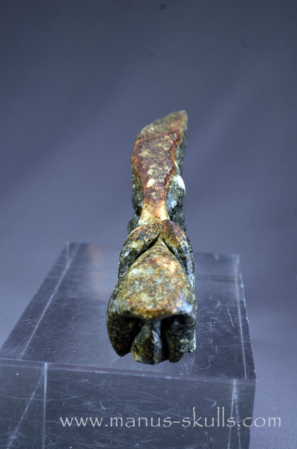 Preseli Bluestone Dragon