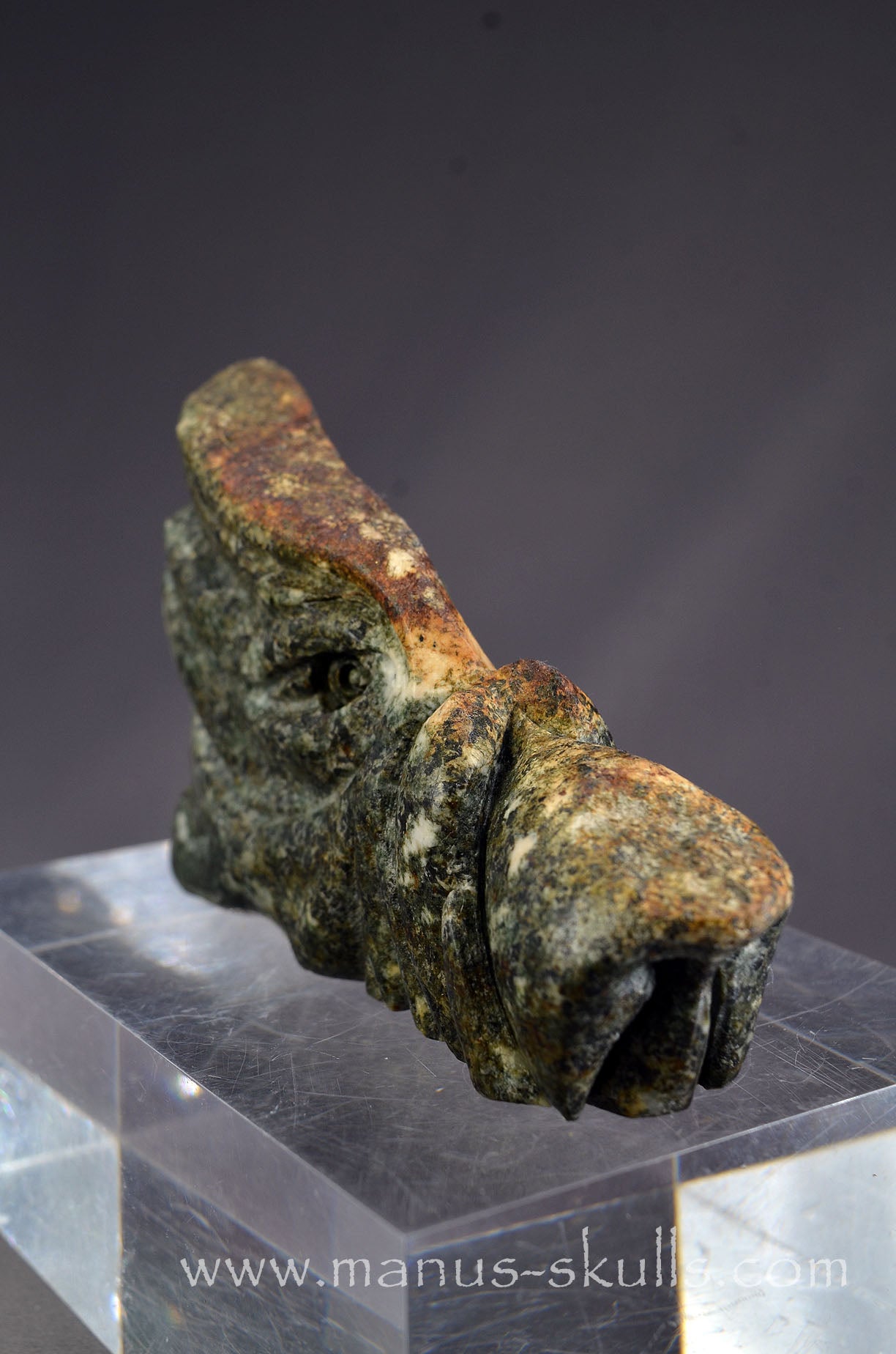 Preseli Bluestone Dragon