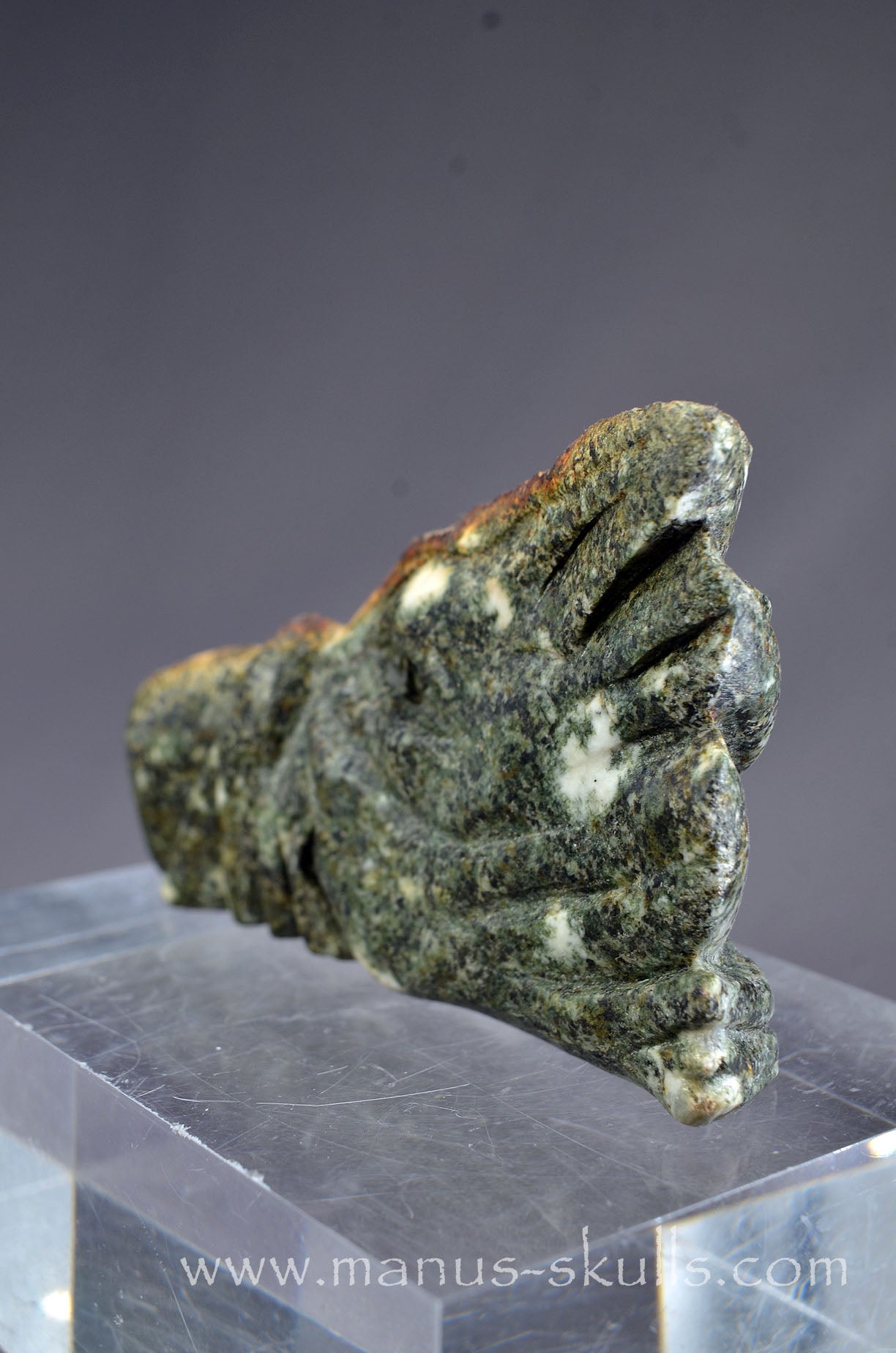 Preseli Bluestone Dragon