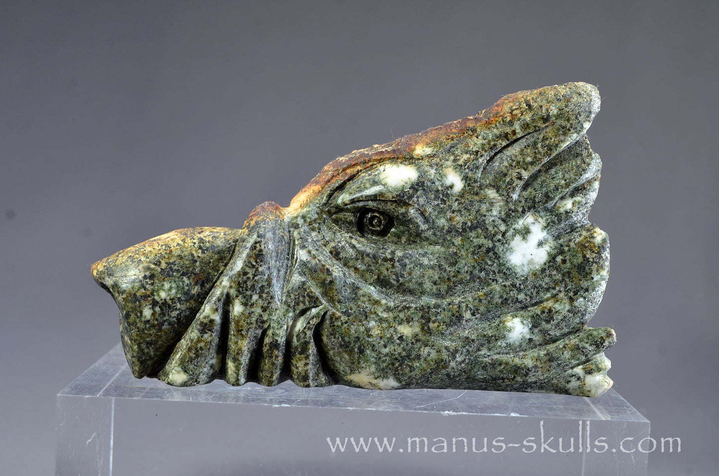 Preseli Bluestone Dragon