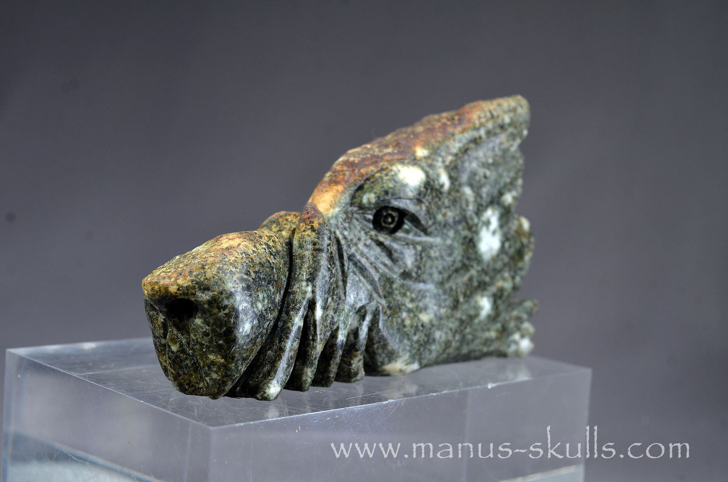 Preseli Bluestone Dragon