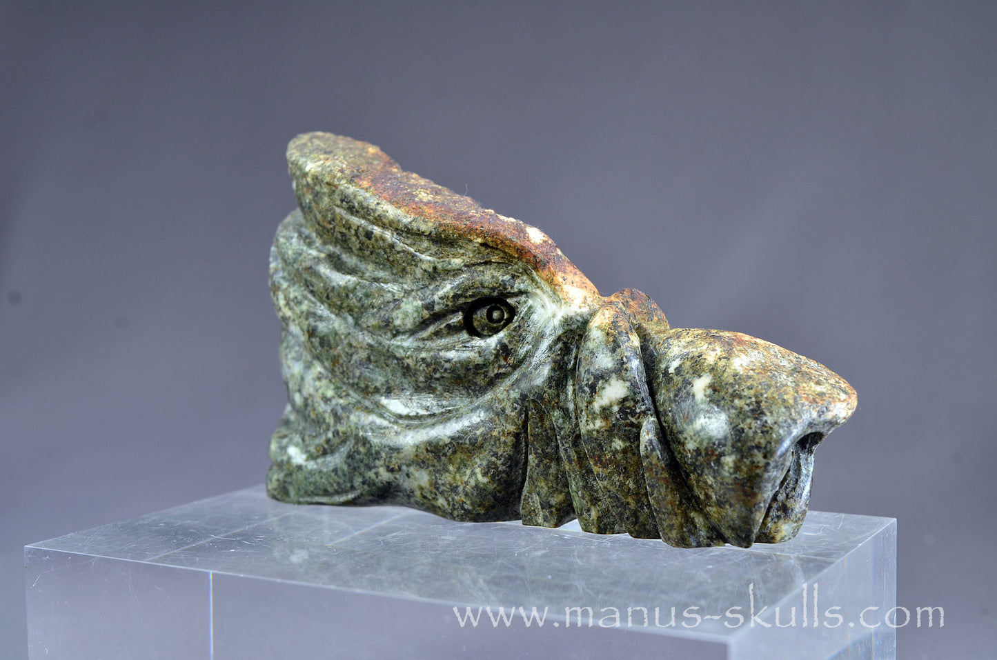 Preseli Bluestone Dragon