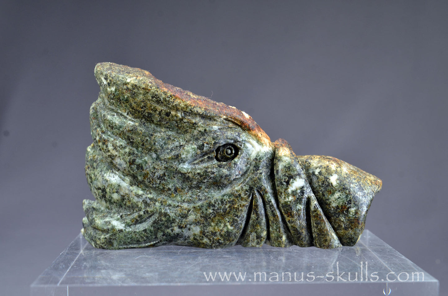 Preseli Bluestone Dragon