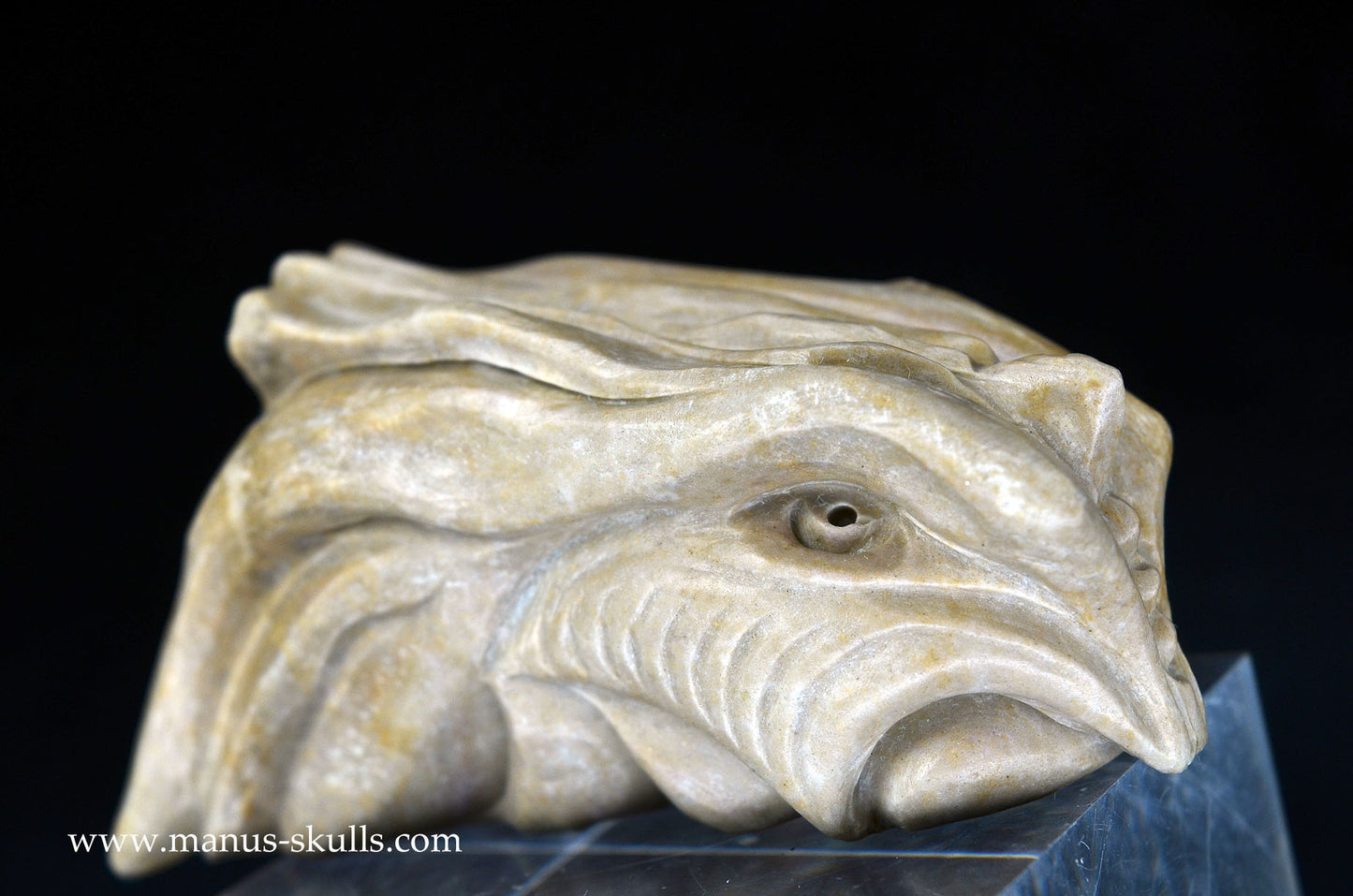 Feminine SARSENS STONE Fish Dragon. (Stonehenge Stone)