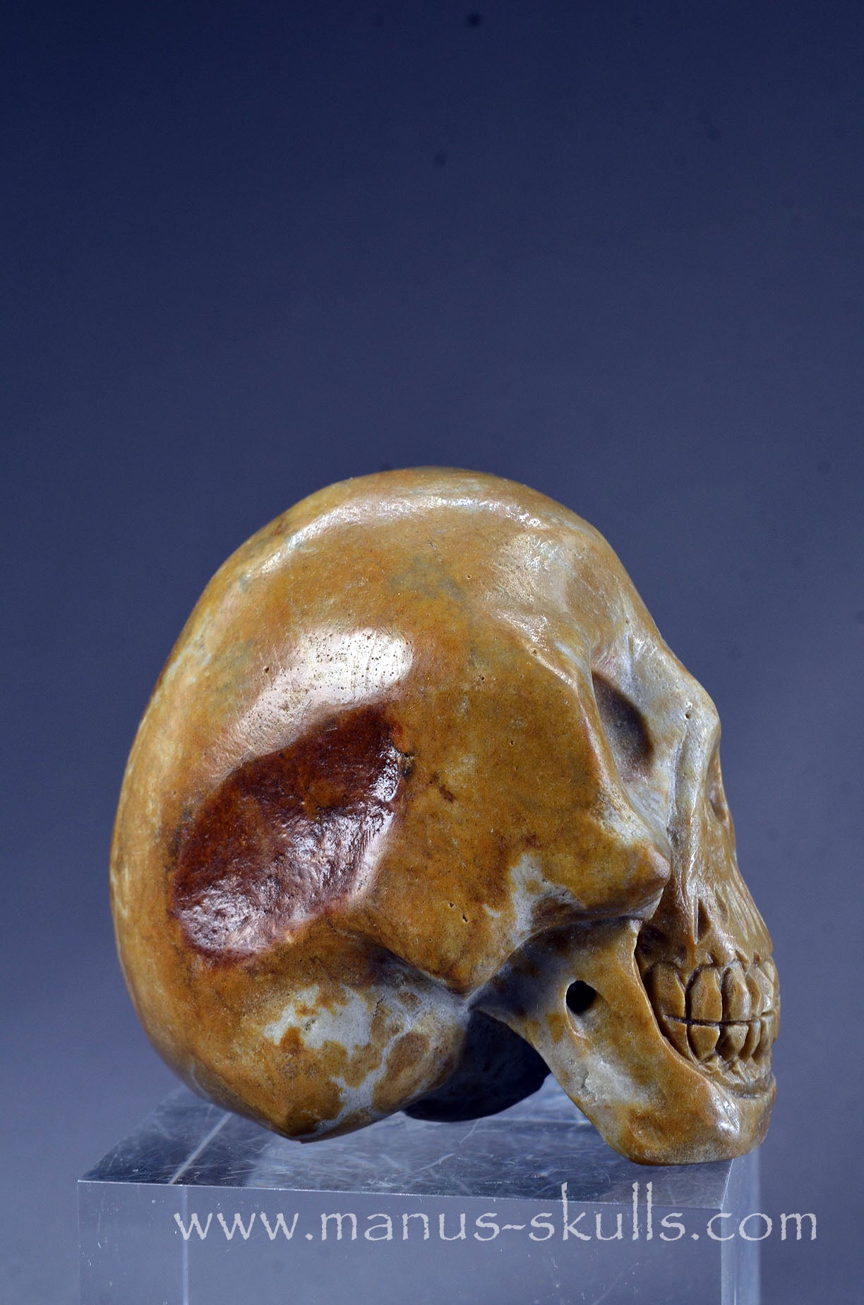 Sarsen Stone Skull