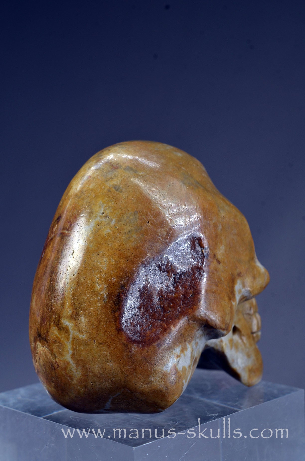 Sarsen Stone Skull