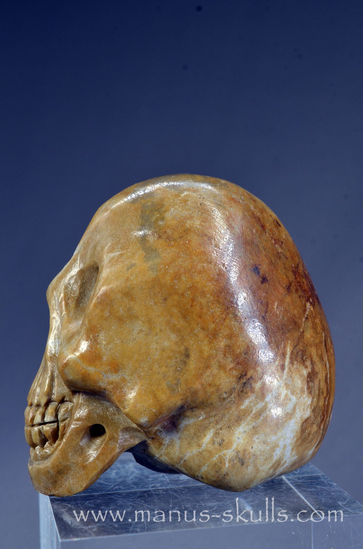 Sarsen Stone Skull