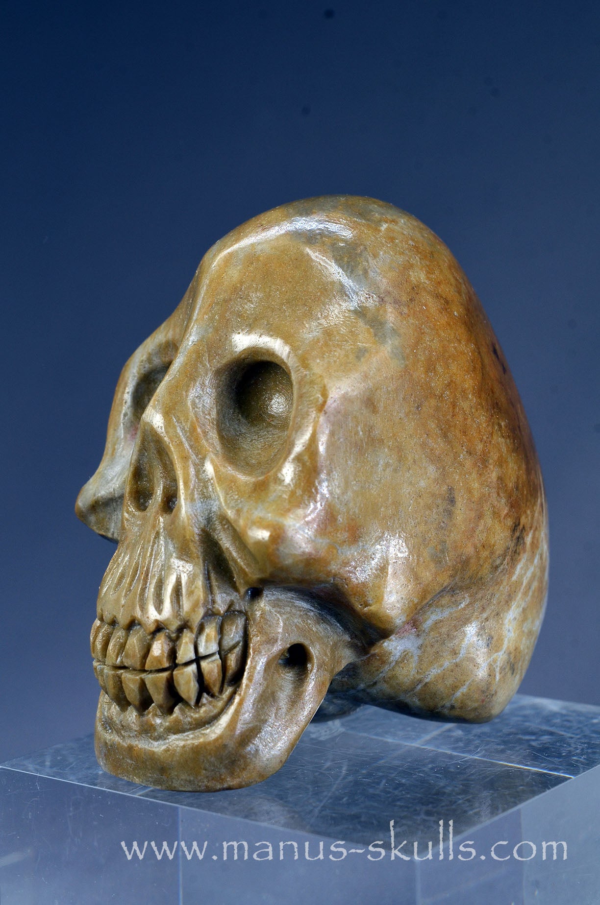 Sarsen Stone Skull