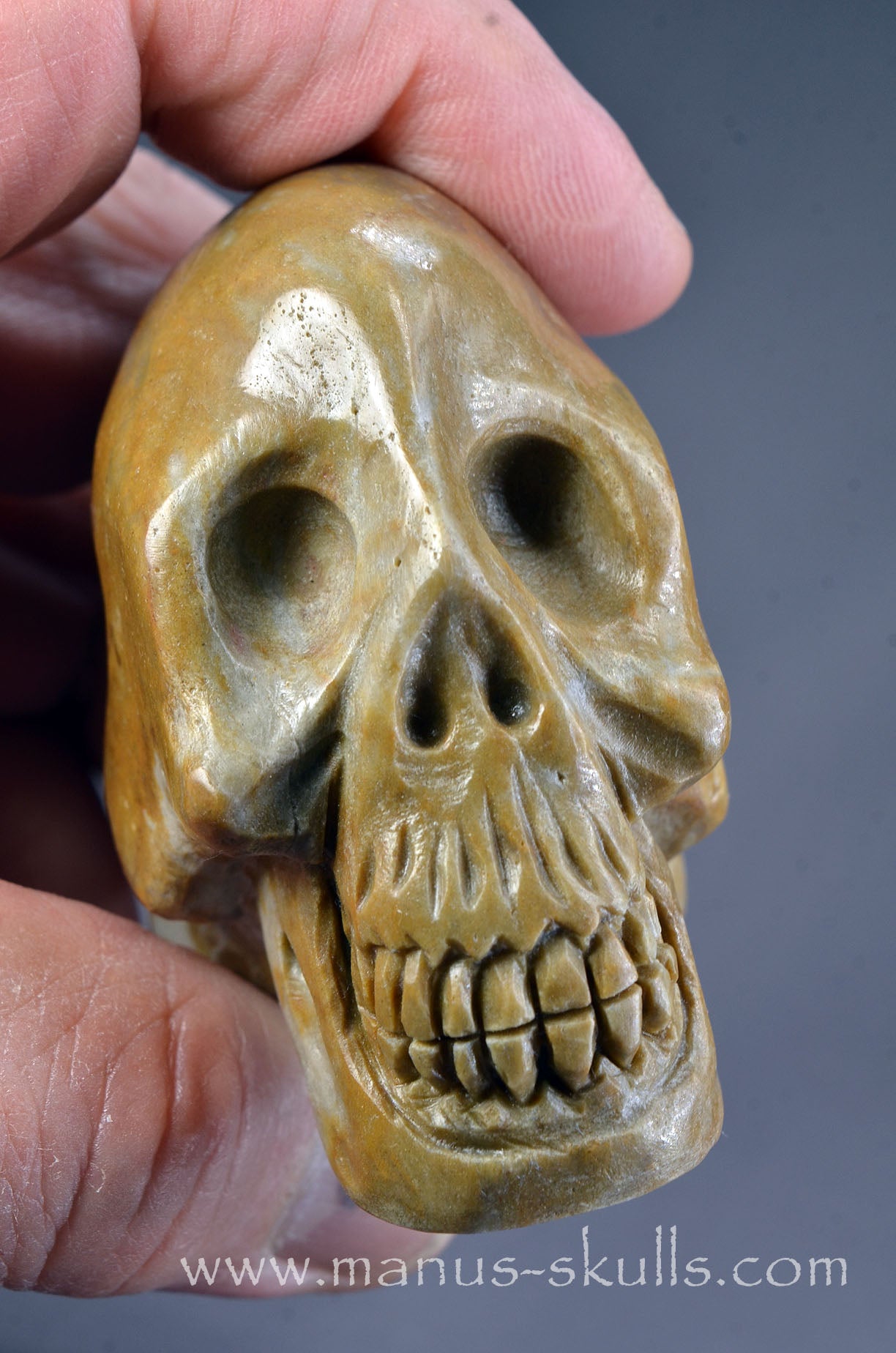 Sarsen Stone Skull