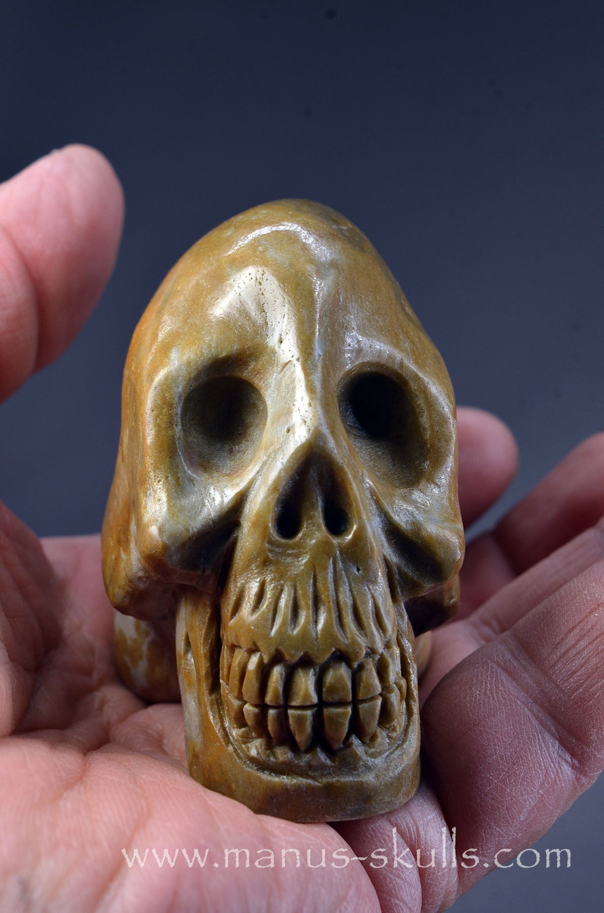 Sarsen Stone Skull
