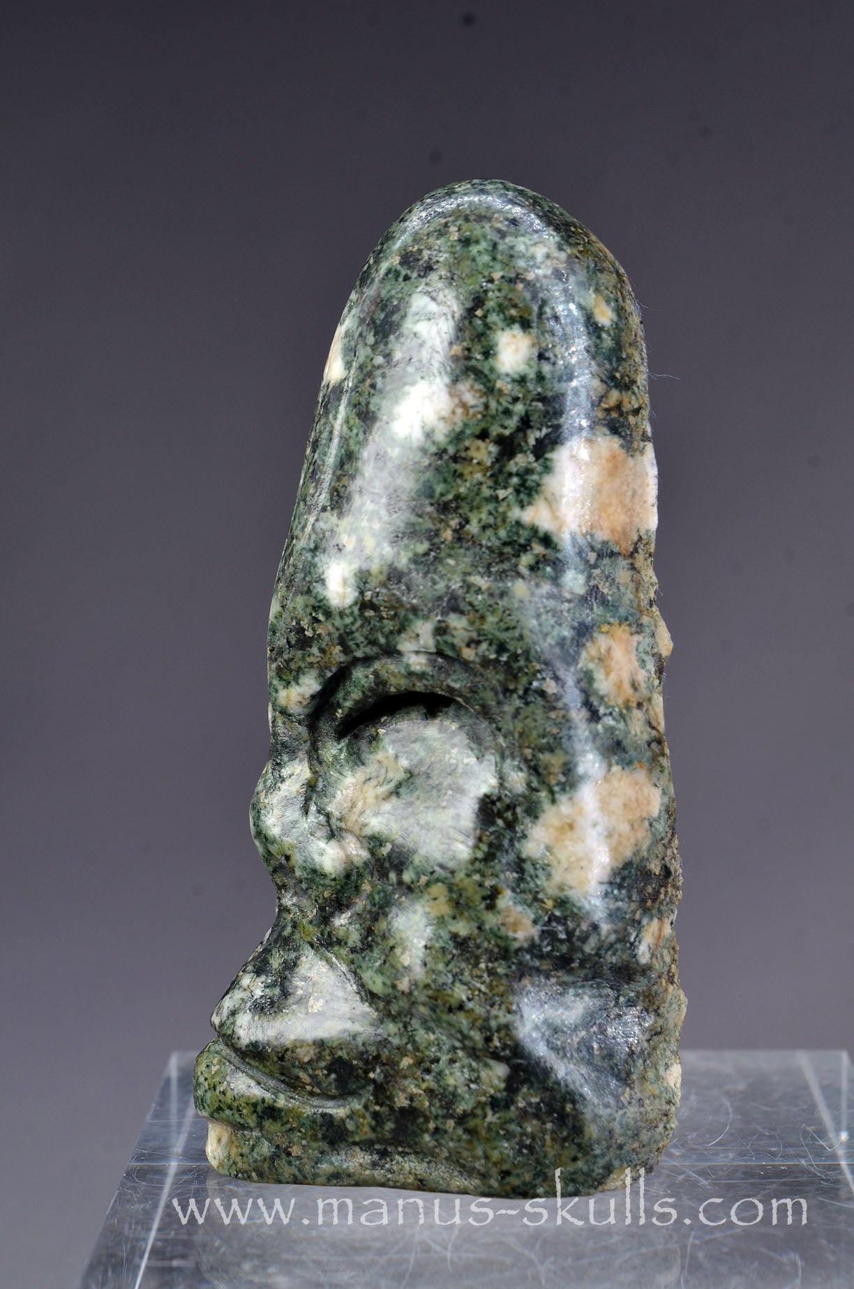 Preseli Bluestone Conehead Tribal Skull