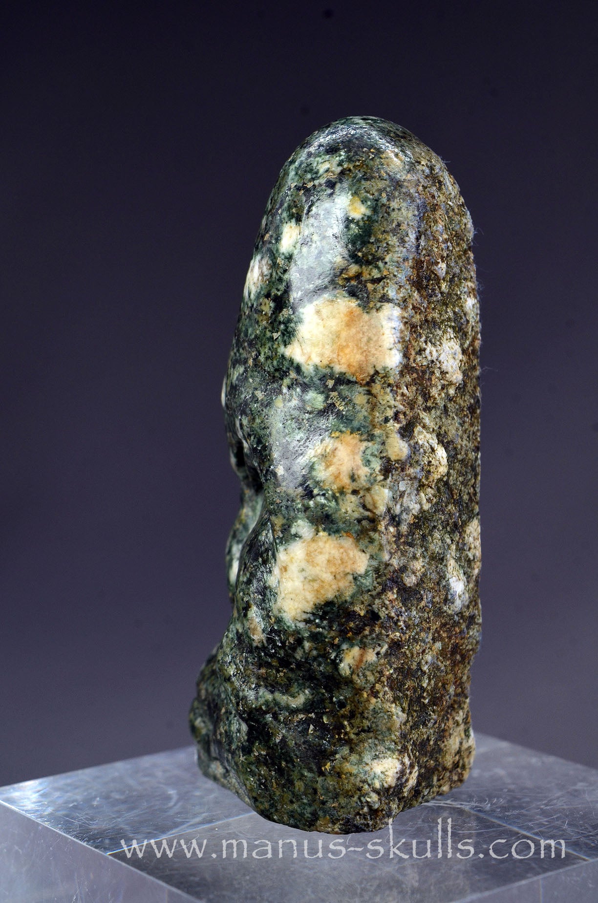 Preseli Bluestone Conehead Tribal Skull