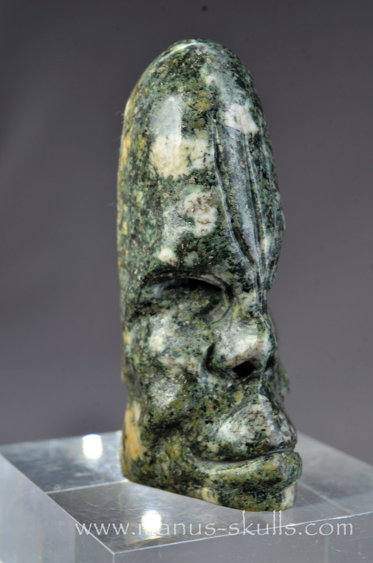 Preseli Bluestone Conehead Tribal Skull
