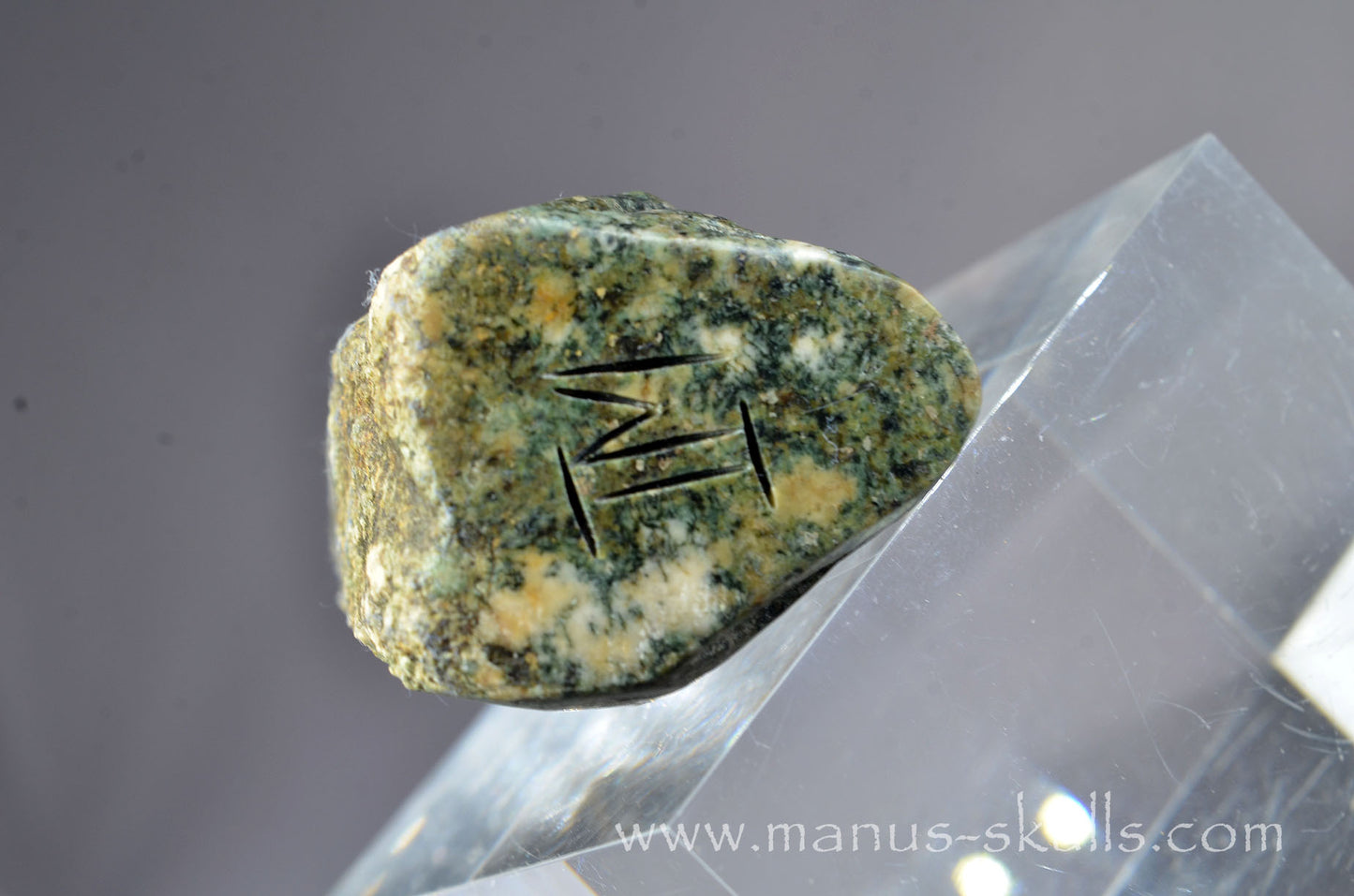 Preseli Bluestone Conehead Tribal Skull