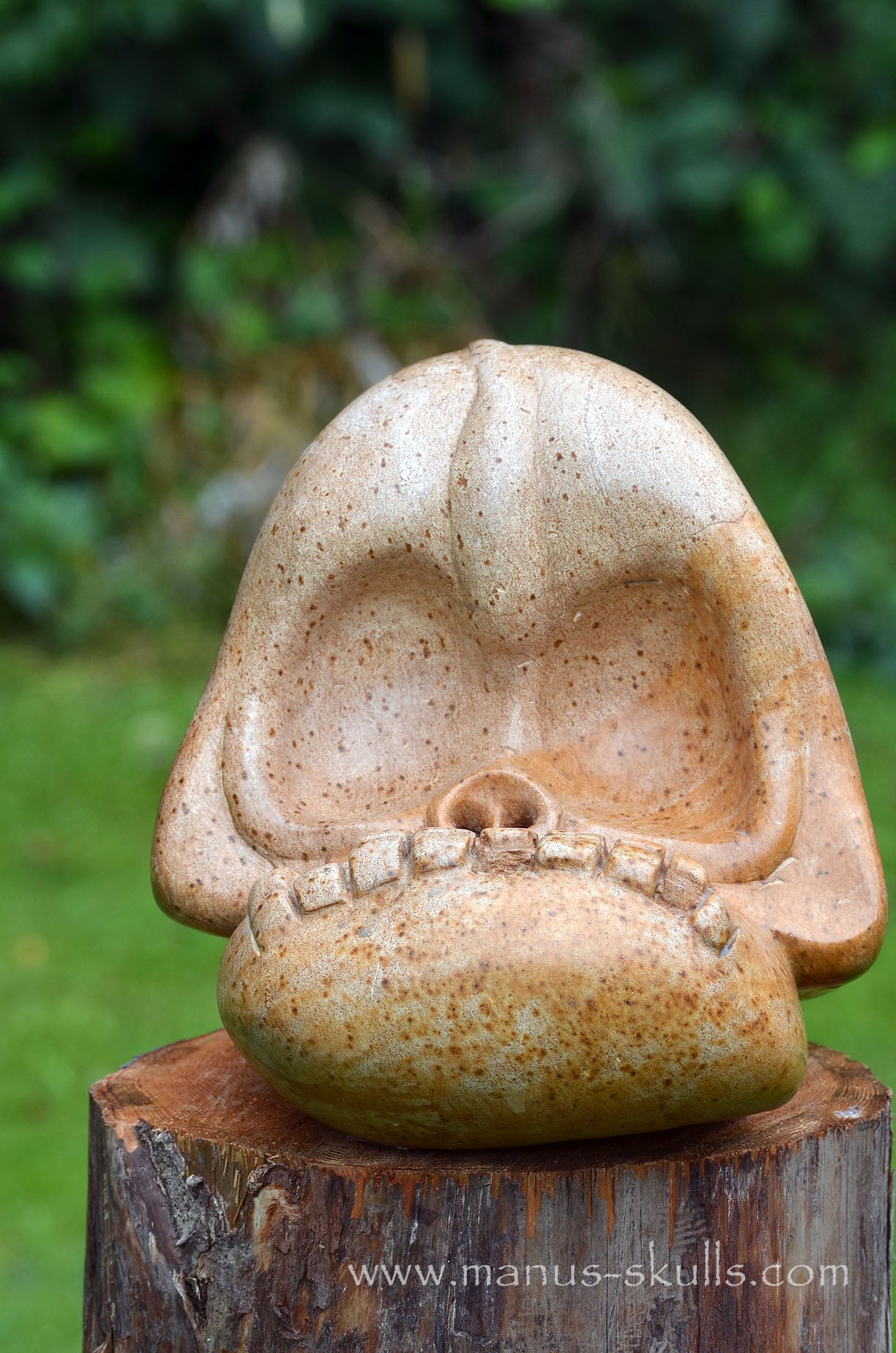 Monumental Steatite Evolian Traveller Skull (30,5 Kilo!)