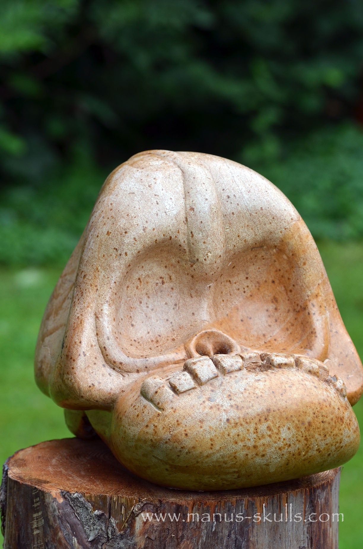 Monumental Steatite Evolian Traveller Skull (30,5 Kilo!)
