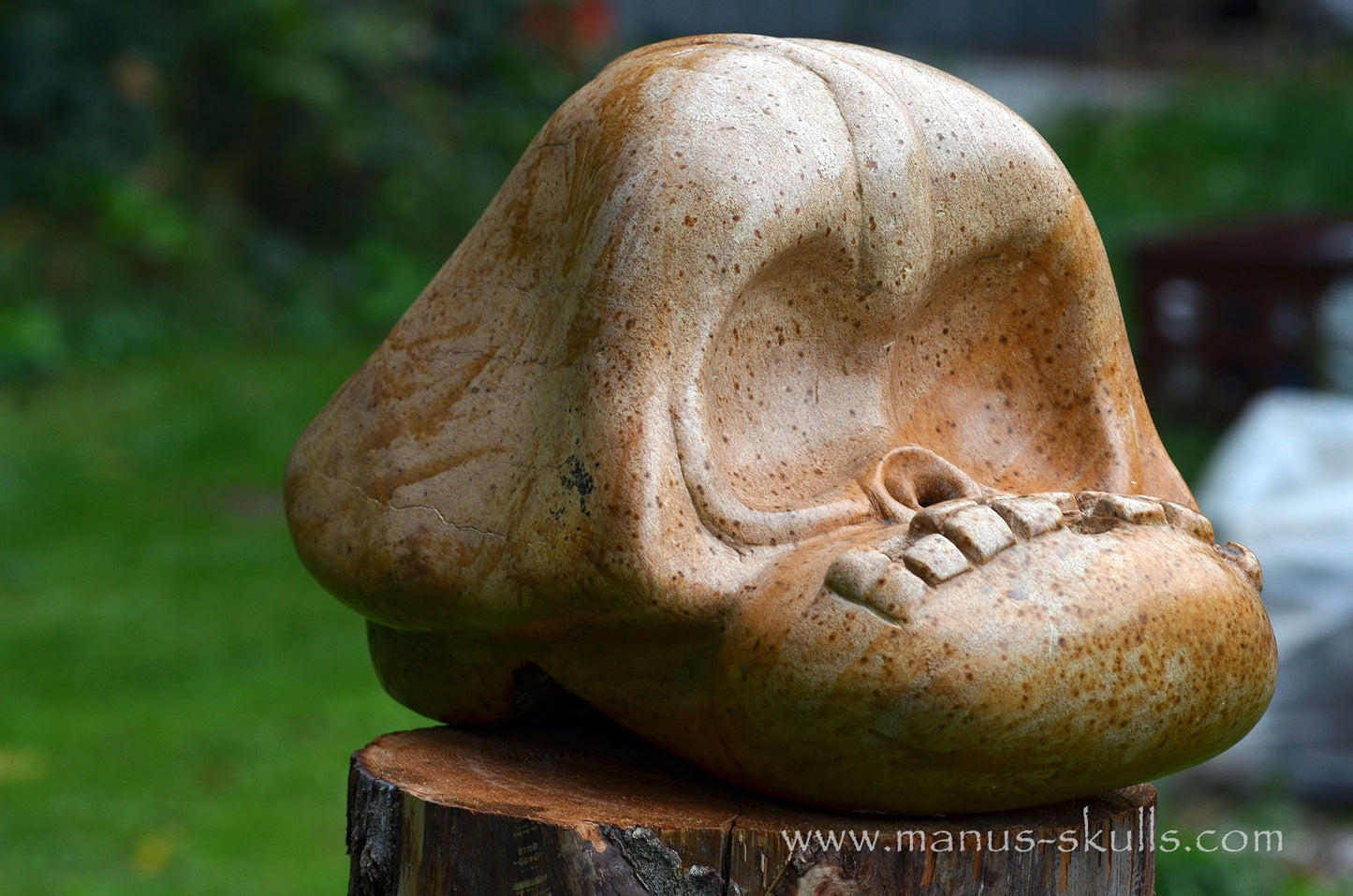 Monumental Steatite Evolian Traveller Skull (30,5 Kilo!)
