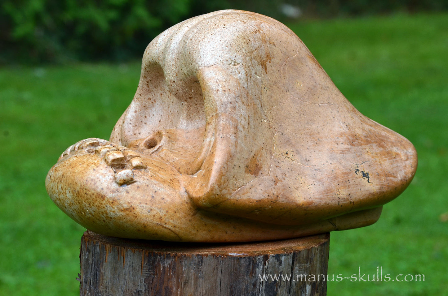 Monumental Steatite Evolian Traveller Skull (30,5 Kilo!)