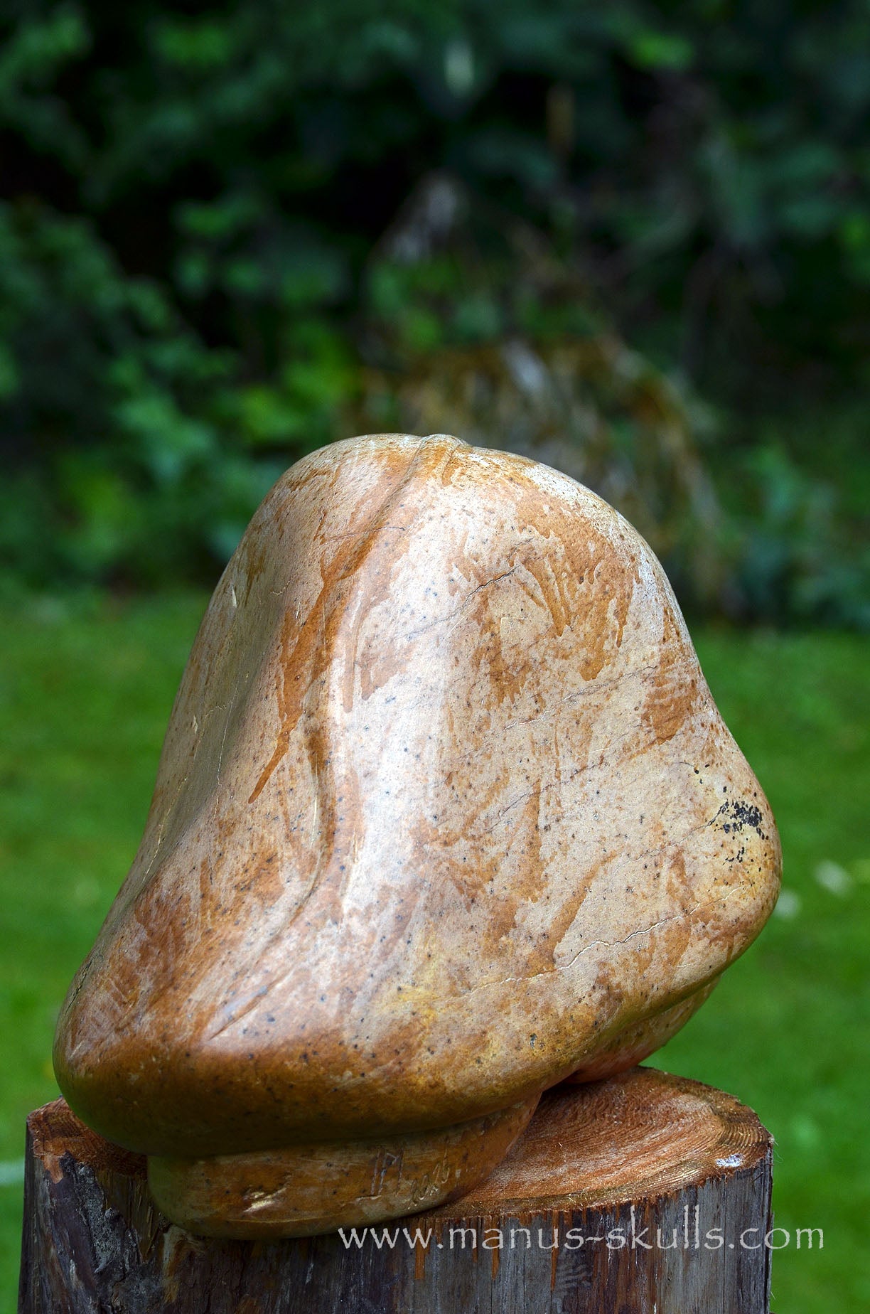 Monumental Steatite Evolian Traveller Skull (30,5 Kilo!)