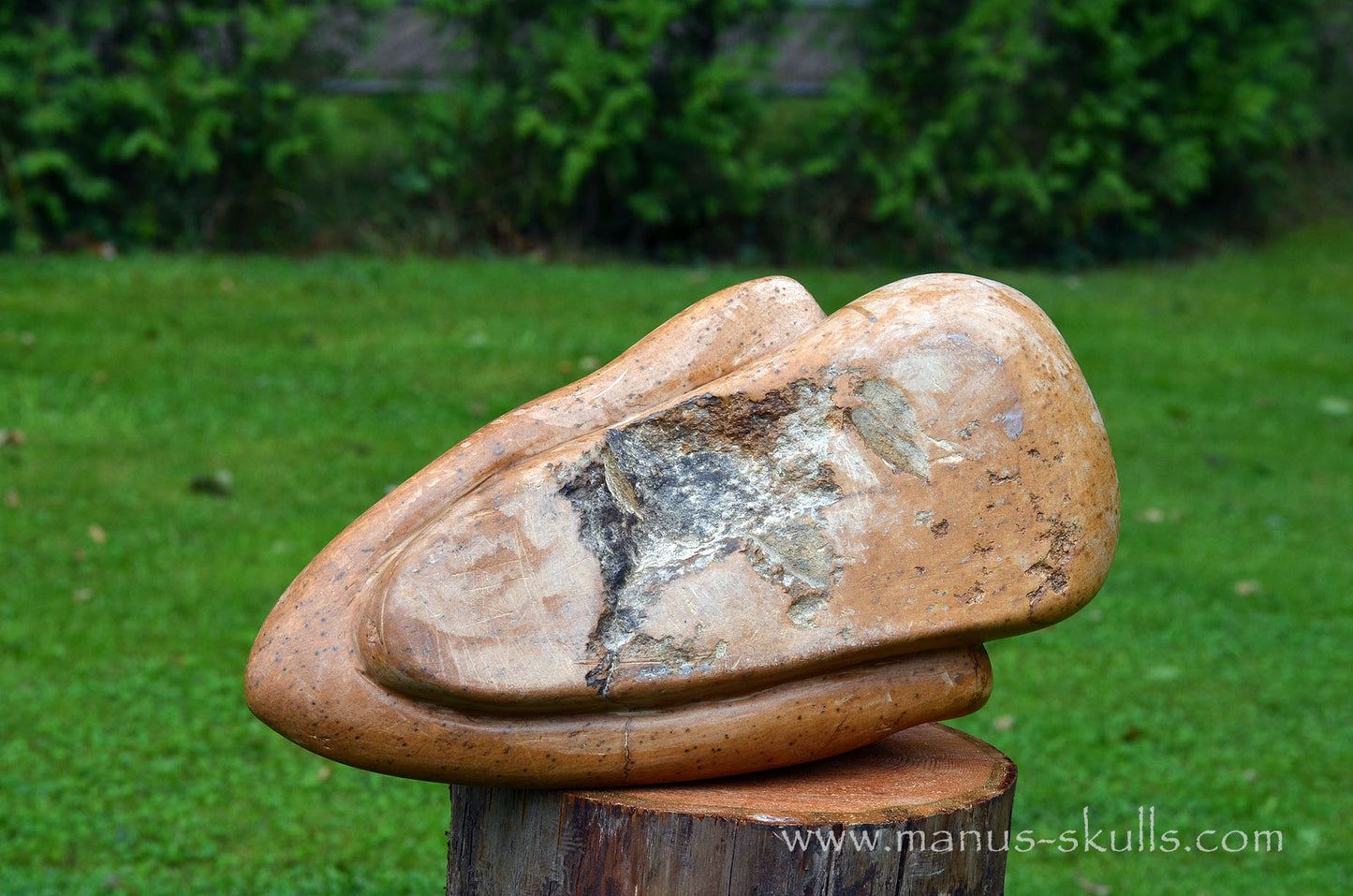 Monumental Steatite Evolian Traveller Skull (30,5 Kilo!)