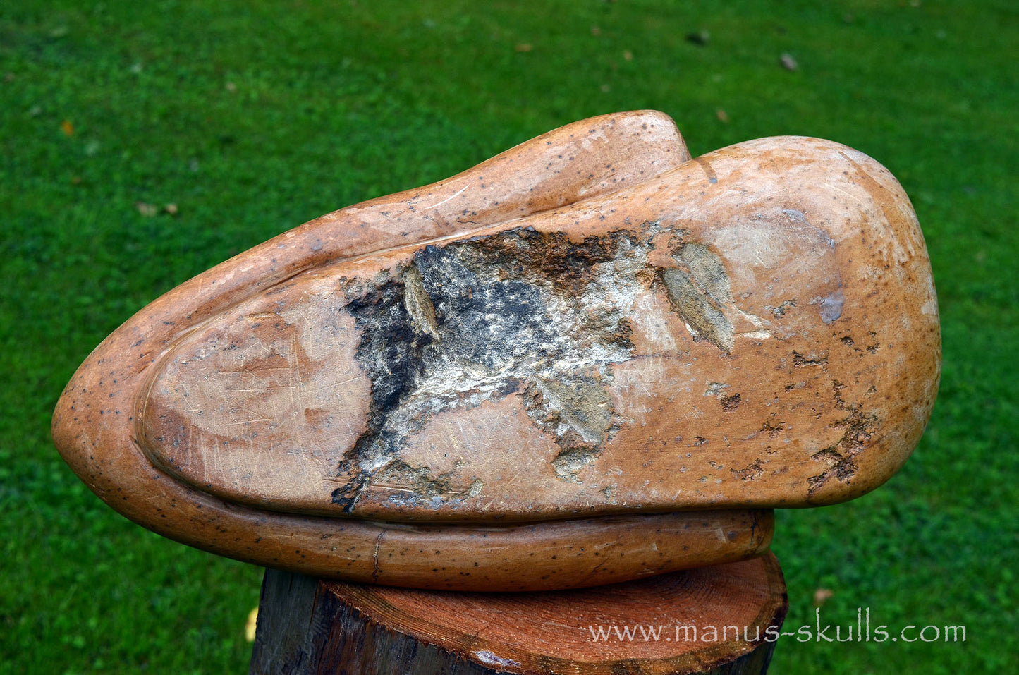 Monumental Steatite Evolian Traveller Skull (30,5 Kilo!)