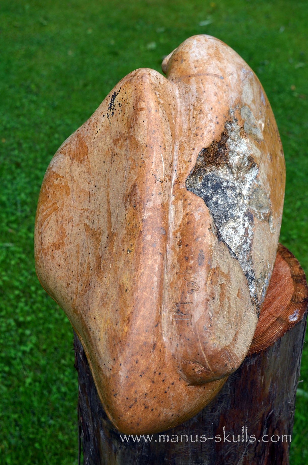 Monumental Steatite Evolian Traveller Skull (30,5 Kilo!)