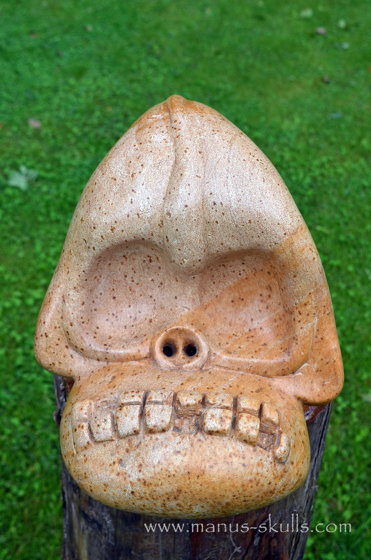 Manus skulls Evolians Dragolians unique Crystal Carvings handmade skulls dragons pendants preseli bluestone tribals spiritual meaning wand Unicorn .. steatite traveller