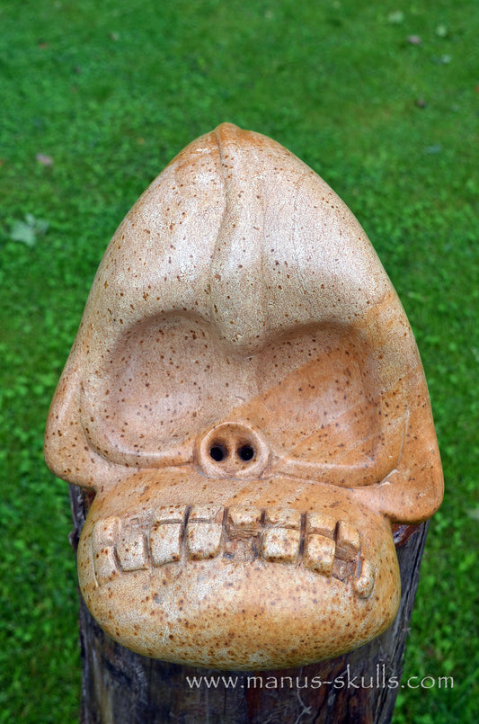 Manus skulls Evolians Dragolians unique Crystal Carvings handmade skulls dragons pendants preseli bluestone tribals spiritual meaning wand Unicorn .. steatite traveller