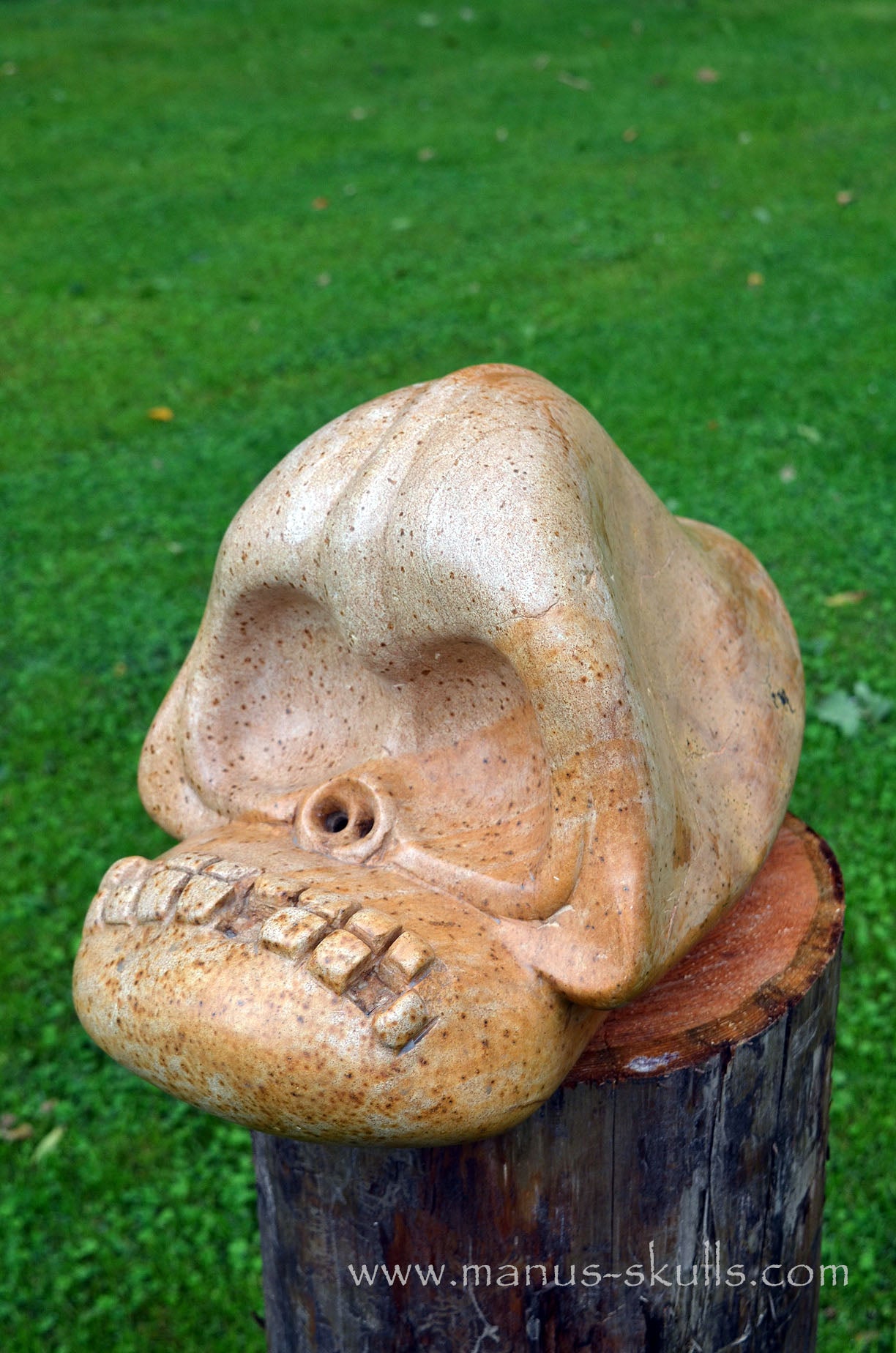 Monumental Steatite Evolian Traveller Skull (30,5 Kilo!)