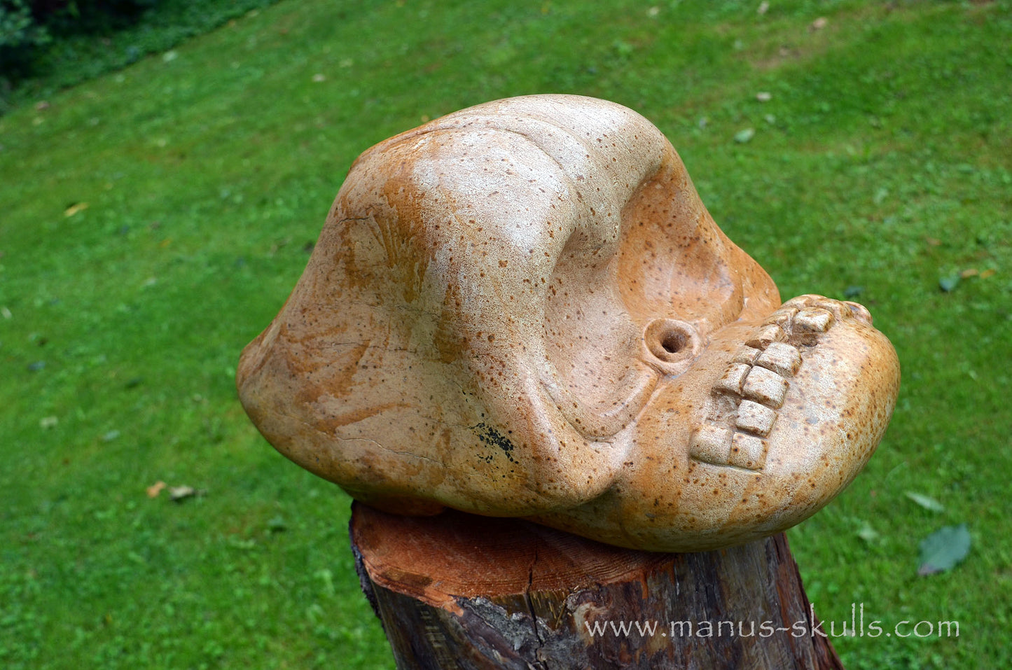 Monumental Steatite Evolian Traveller Skull (30,5 Kilo!)