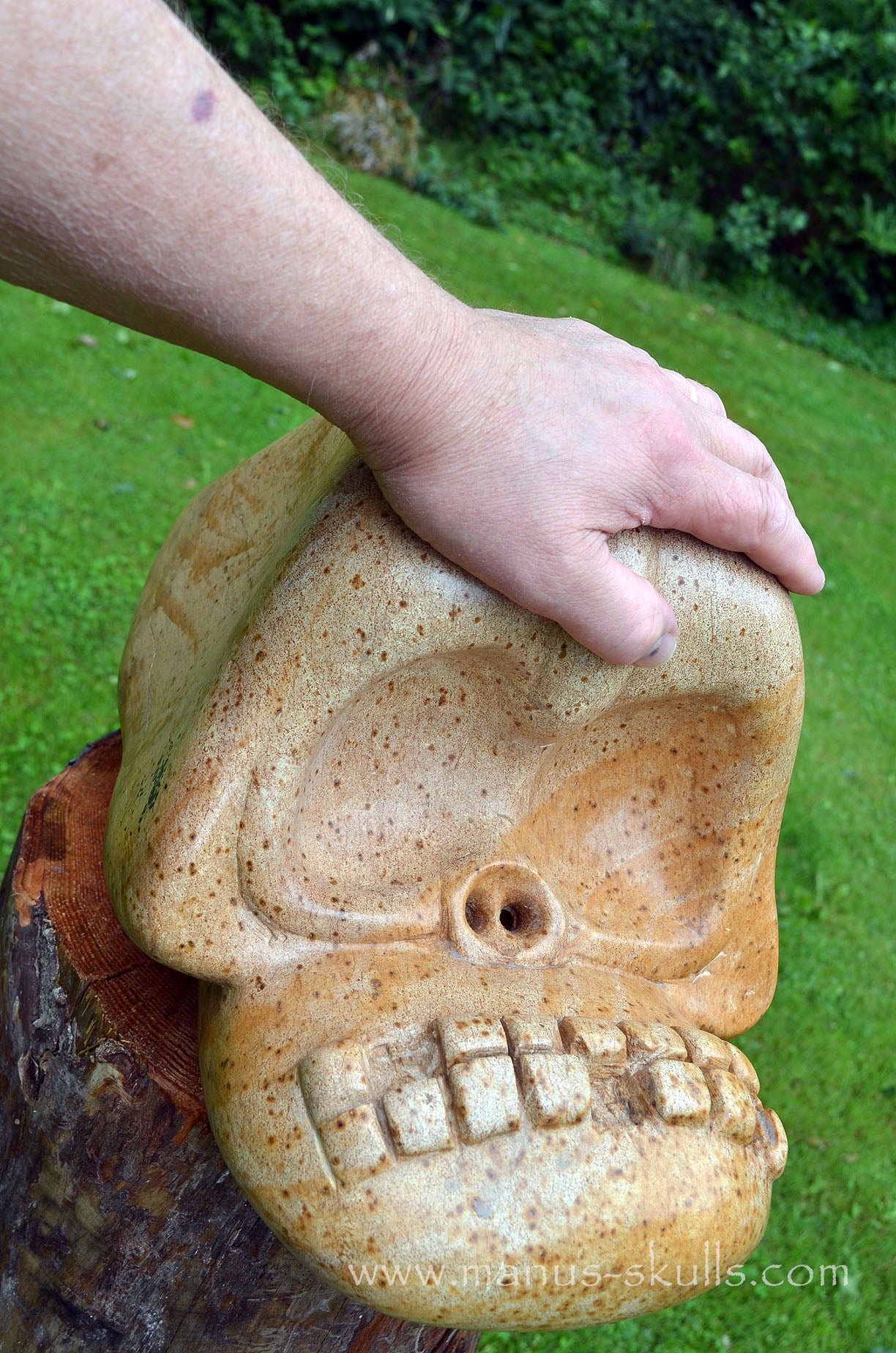 Monumental Steatite Evolian Traveller Skull (30,5 Kilo!)