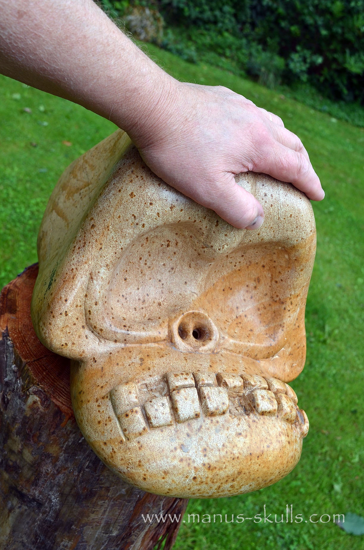Monumental Steatite Evolian Traveller Skull (30,5 Kilo!)