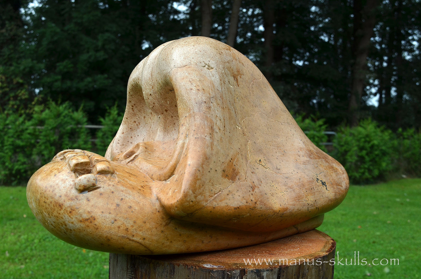 Monumental Steatite Evolian Traveller Skull (30,5 Kilo!)