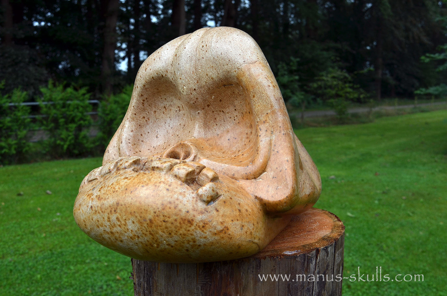Monumental Steatite Evolian Traveller Skull (30,5 Kilo!)