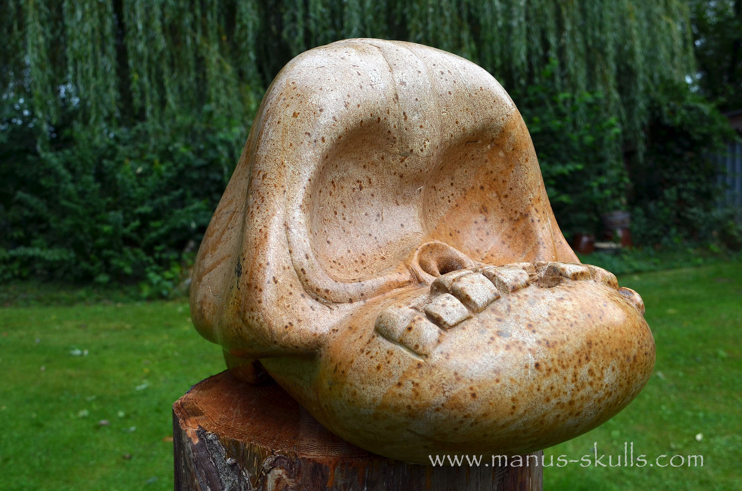 Monumental Steatite Evolian Traveller Skull (30,5 Kilo!)