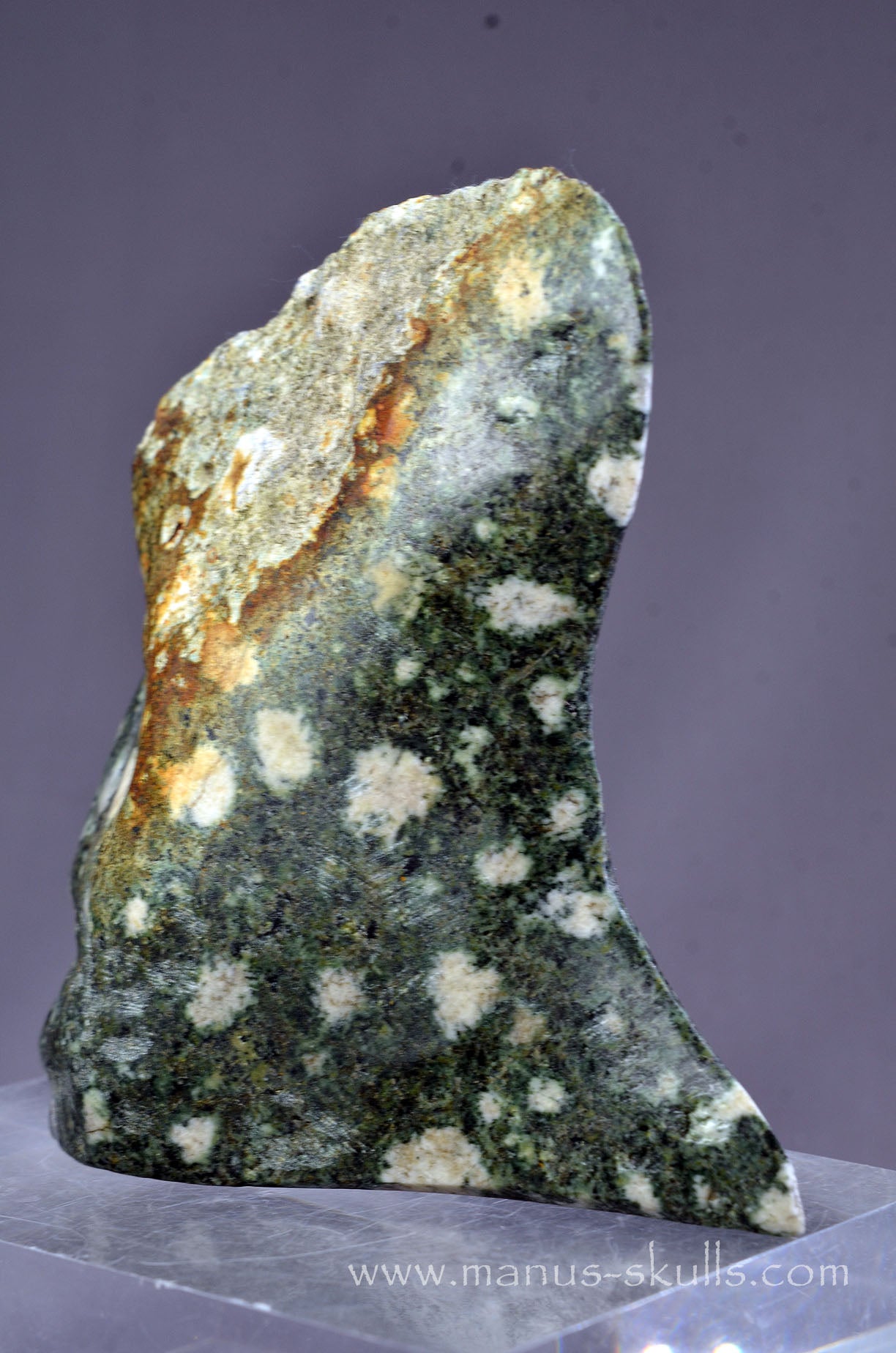 Preseli Bluestone Character tribal Skull