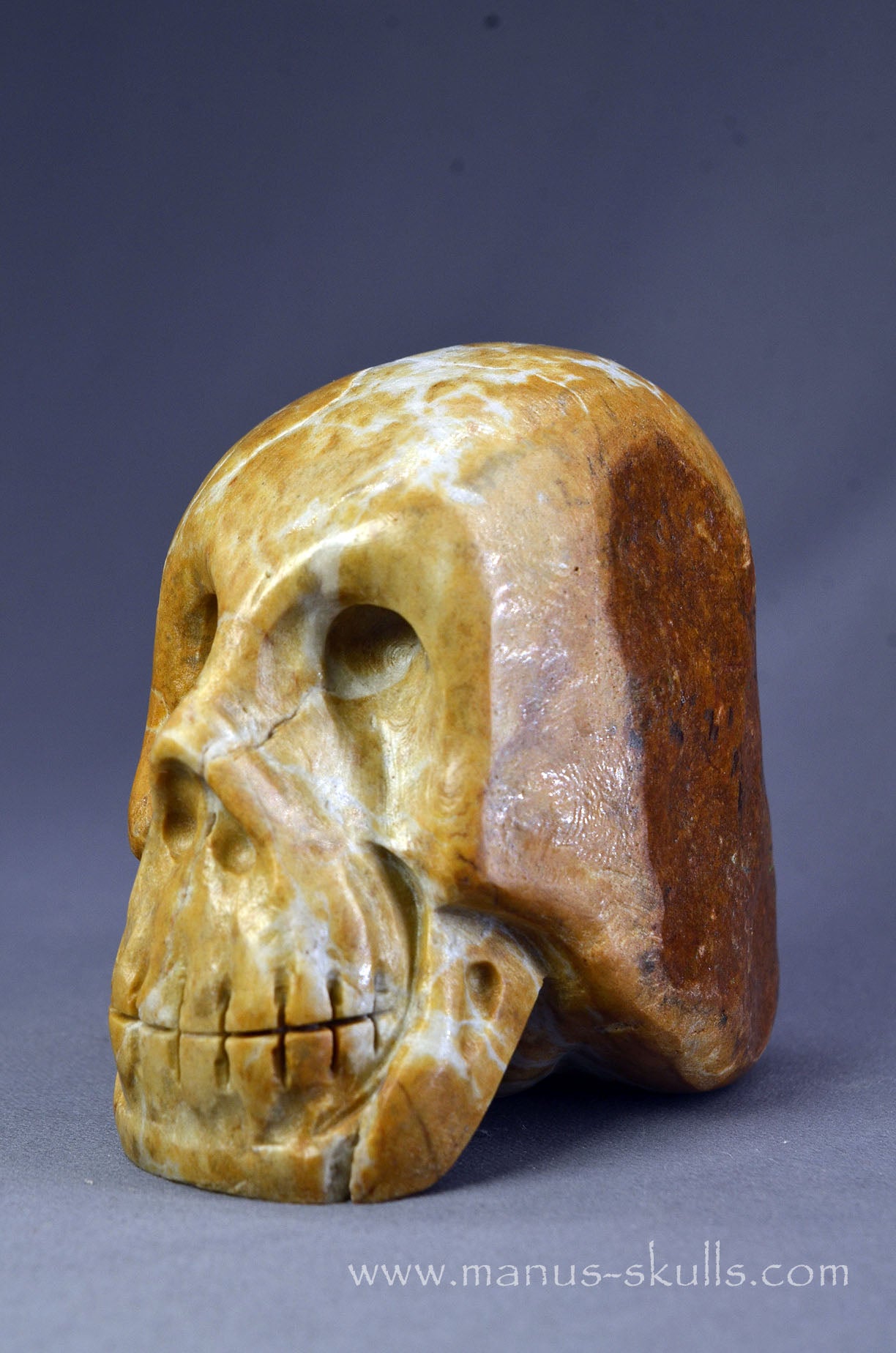 Sarsen Stone Skull