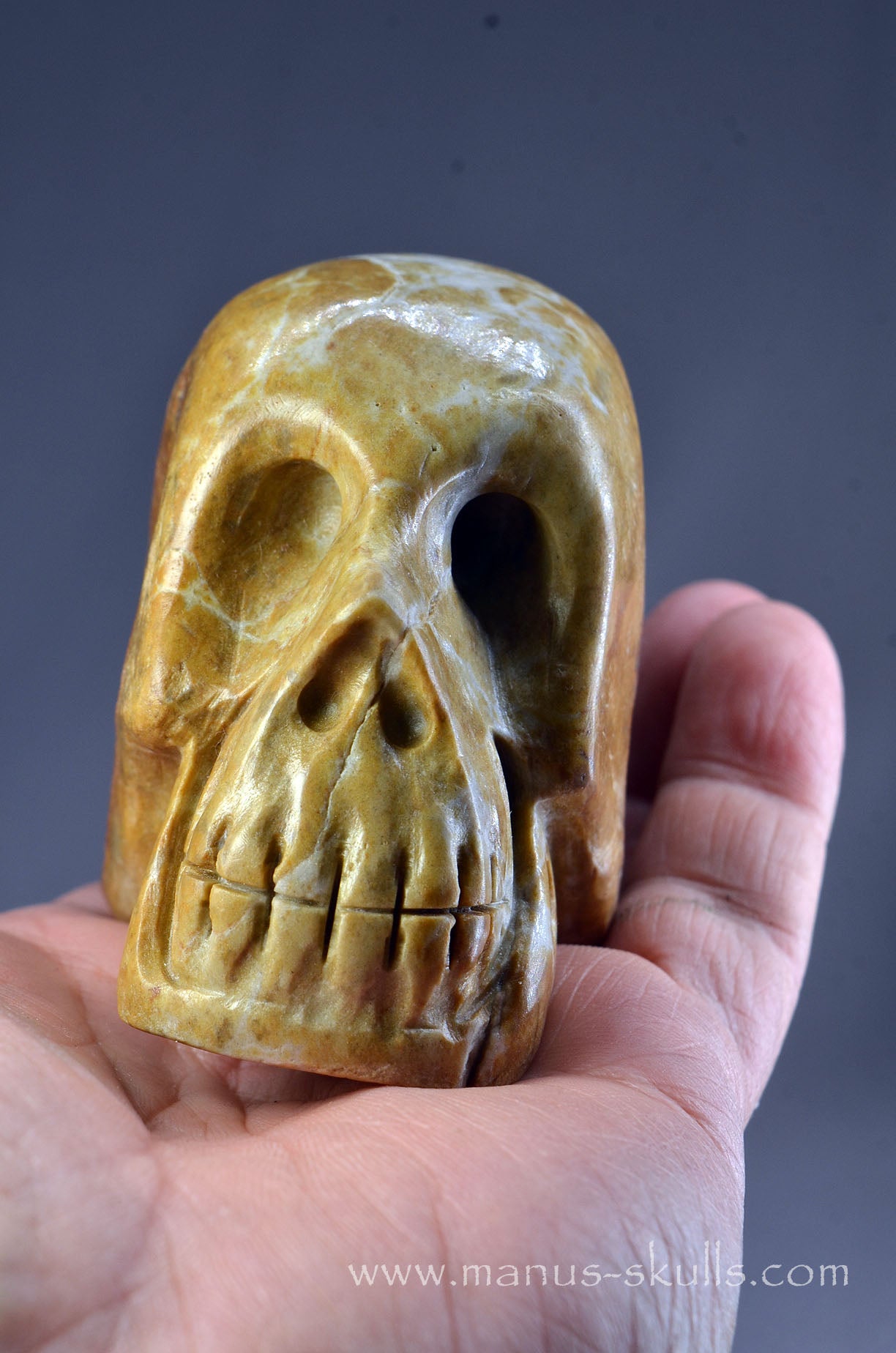 Sarsen Stone Skull