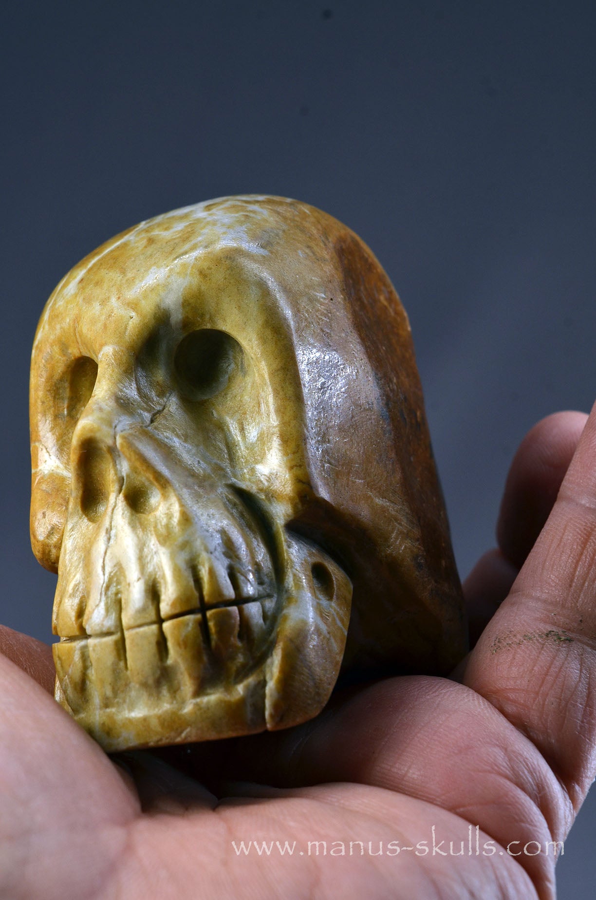 Sarsen Stone Skull