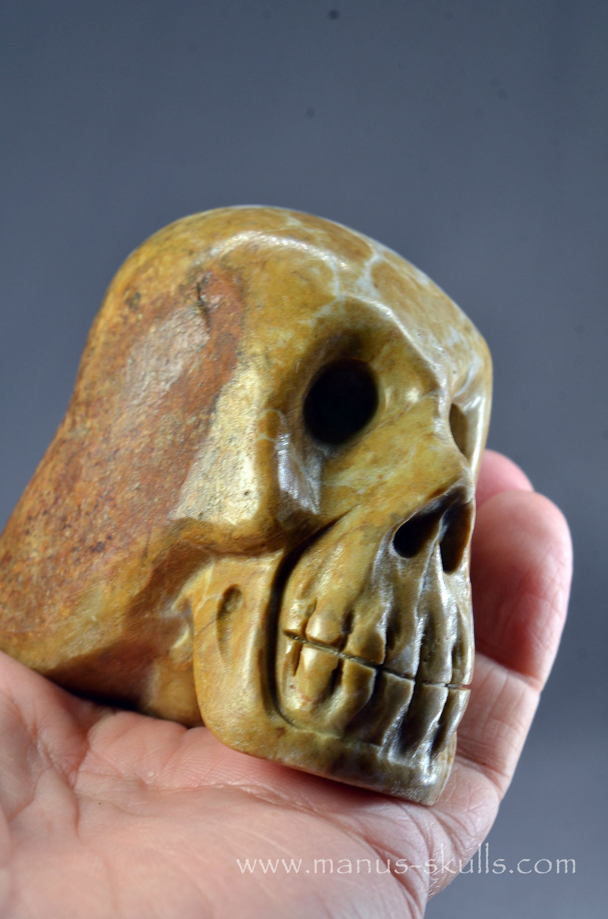 Sarsen Stone Skull