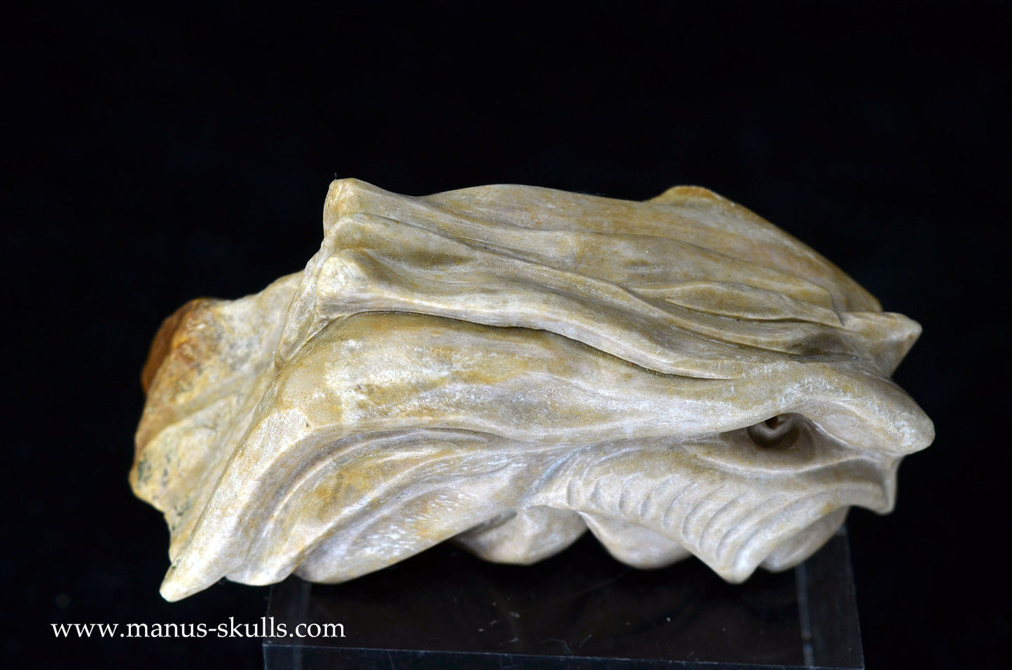 Feminine SARSENS STONE Fish Dragon. (Stonehenge Stone)