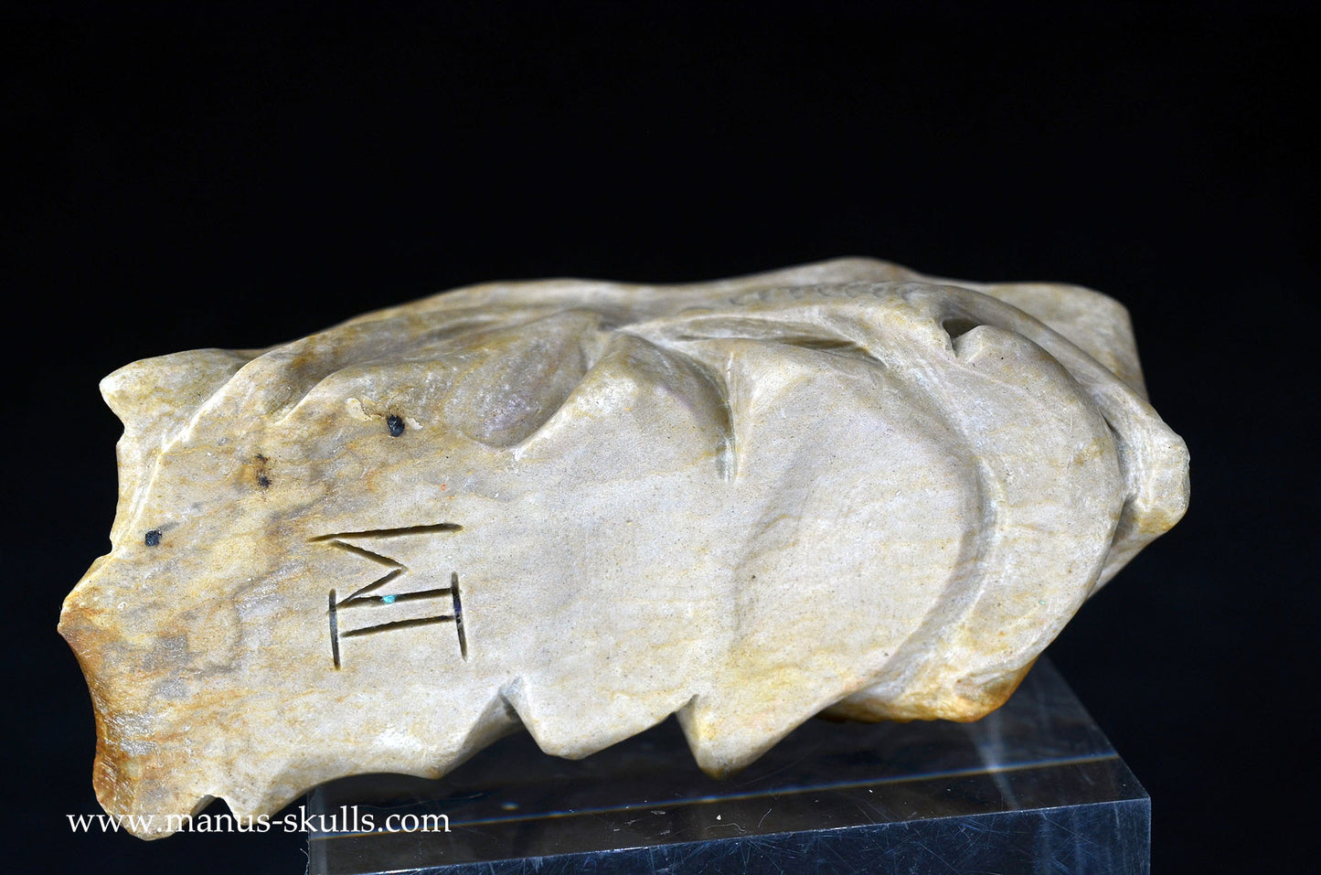 Feminine SARSENS STONE Fish Dragon. (Stonehenge Stone)