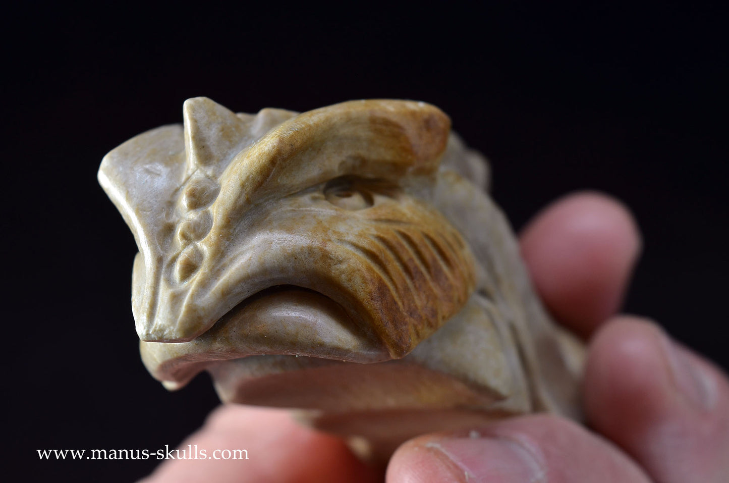 Feminine SARSENS STONE Fish Dragon. (Stonehenge Stone)