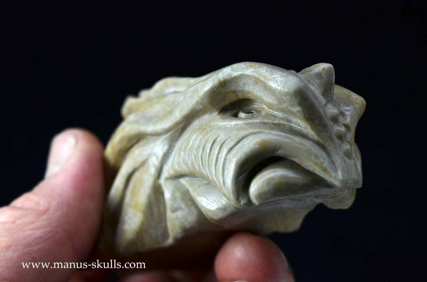 Feminine SARSENS STONE Fish Dragon. (Stonehenge Stone)